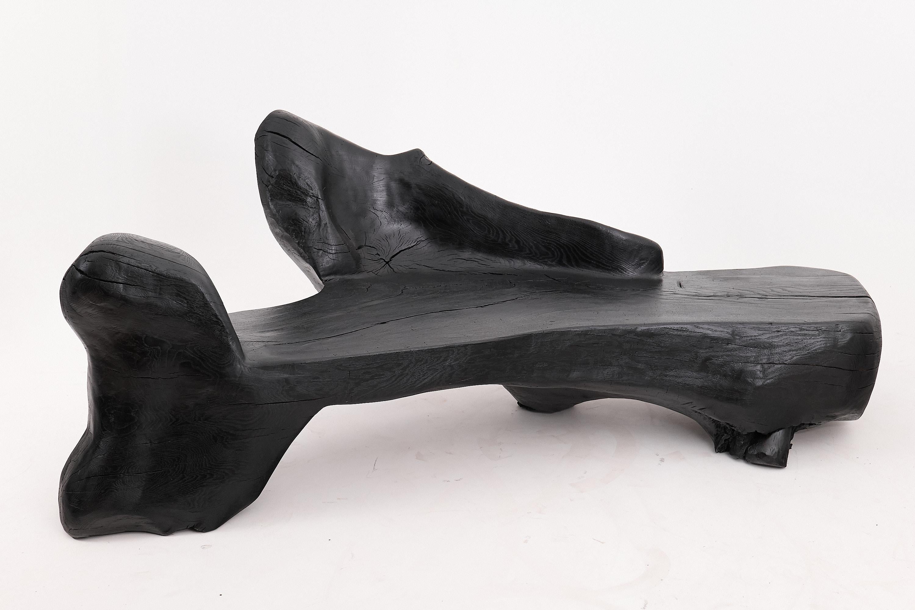 XXL Banc sculptural en bois calciné de forme organique, sculpté à la main dans du bois massif en vente 12