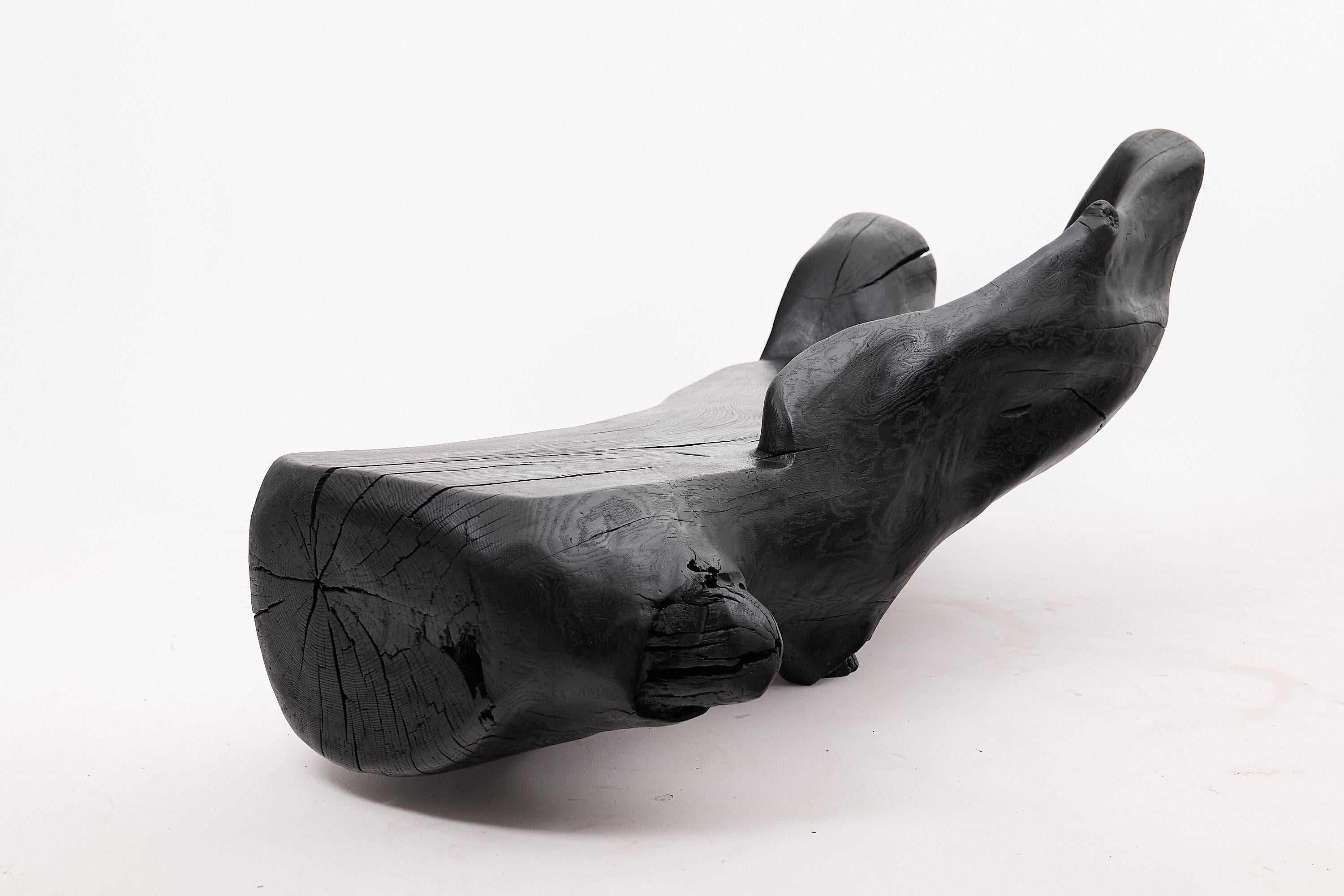 XXL Sculptural Charred Wood Bench in Organic Form, Hand-Carved from Solid Log For Sale 1