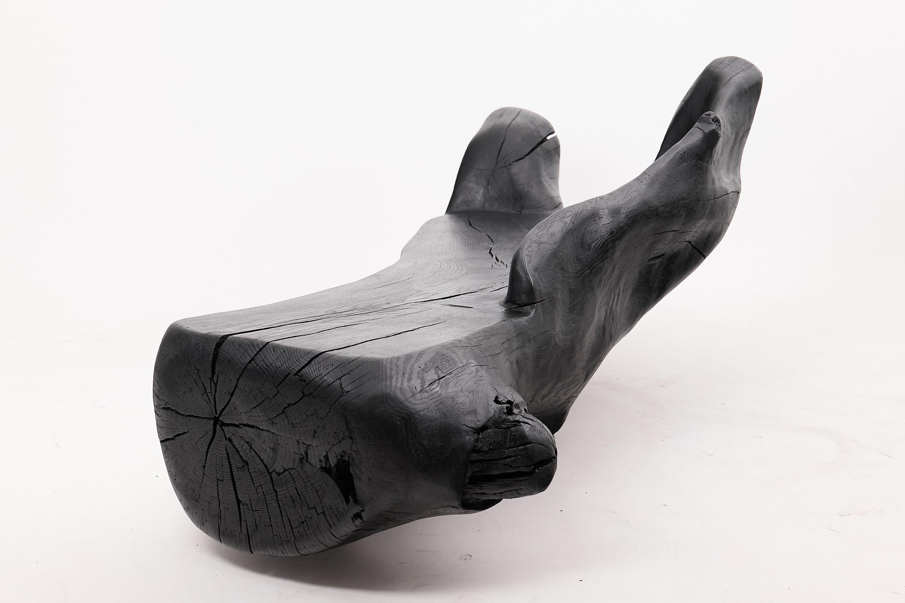 Bois XXL Banc sculptural en bois calciné de forme organique, sculpté à la main dans du bois massif en vente