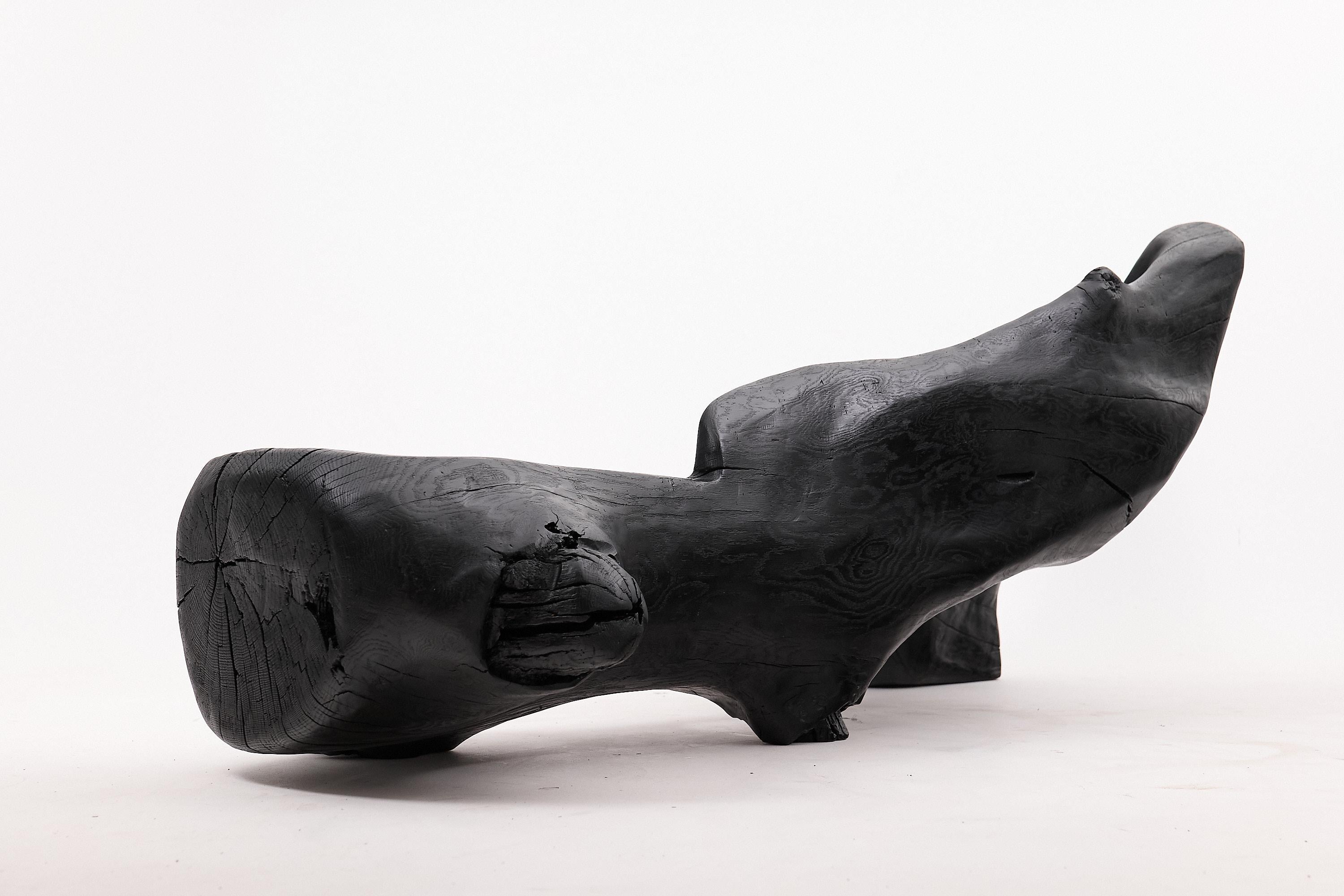 XXL Banc sculptural en bois calciné de forme organique, sculpté à la main dans du bois massif en vente 1