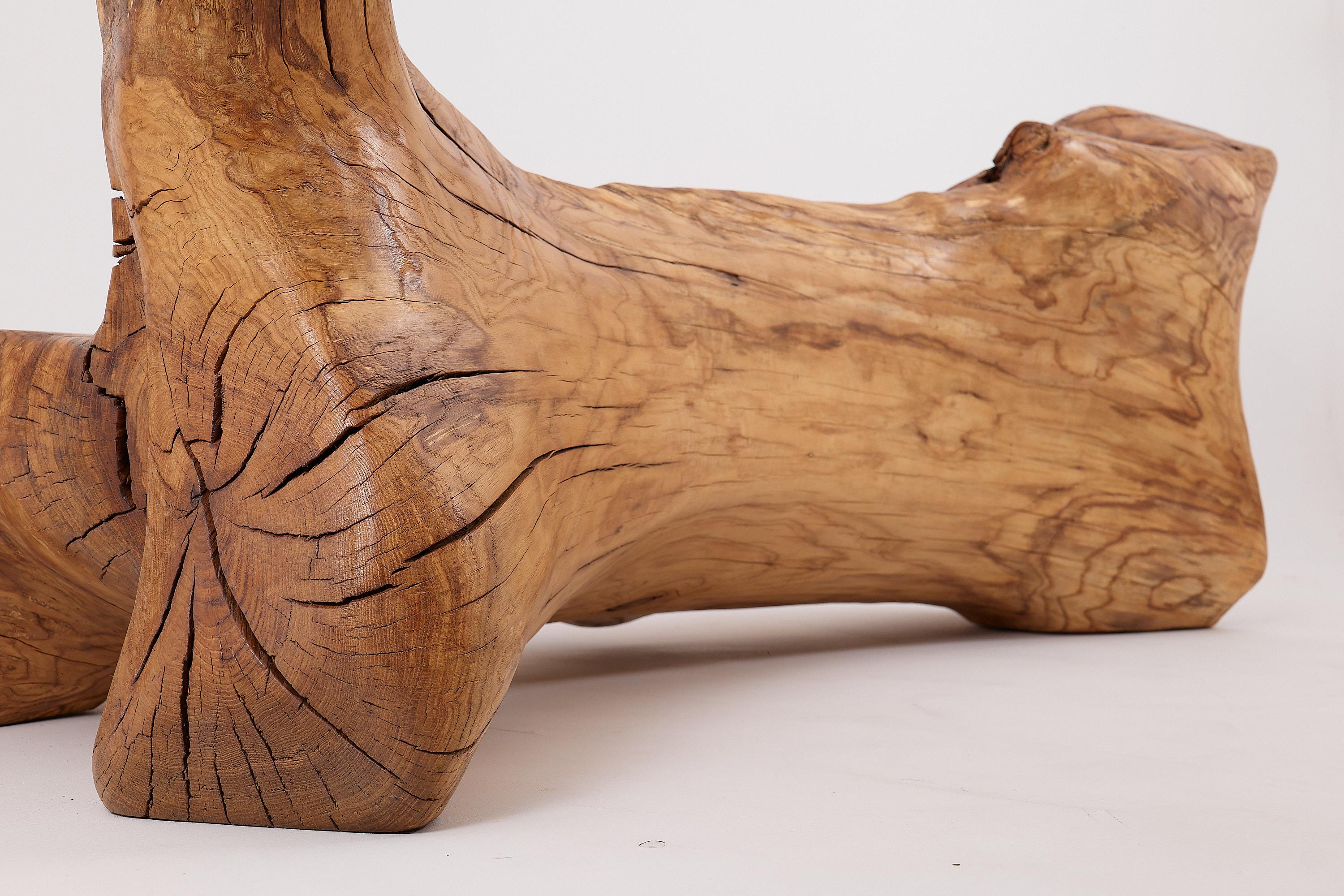 Banco XXL de madera maciza tallada con forma orgánica en bruto para interior y exterior, muebles de madera en venta 2