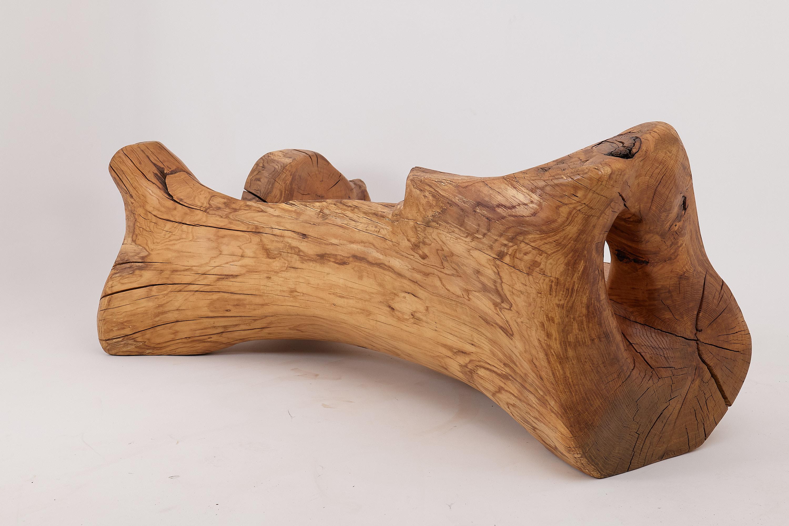Banco XXL de madera maciza tallada con forma orgánica en bruto para interior y exterior, muebles de madera en venta 5