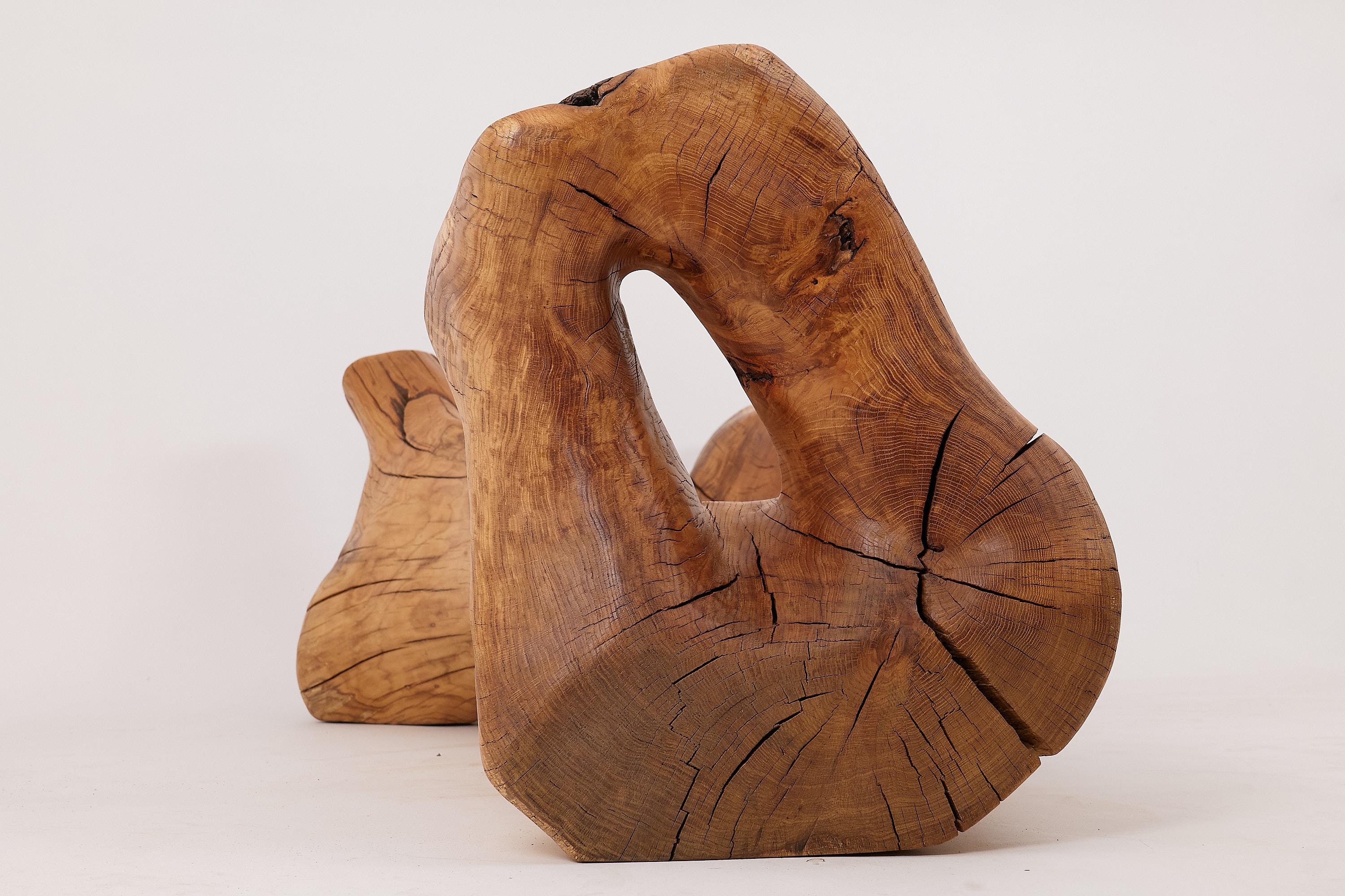 Banco XXL de madera maciza tallada con forma orgánica en bruto para interior y exterior, muebles de madera en venta 8