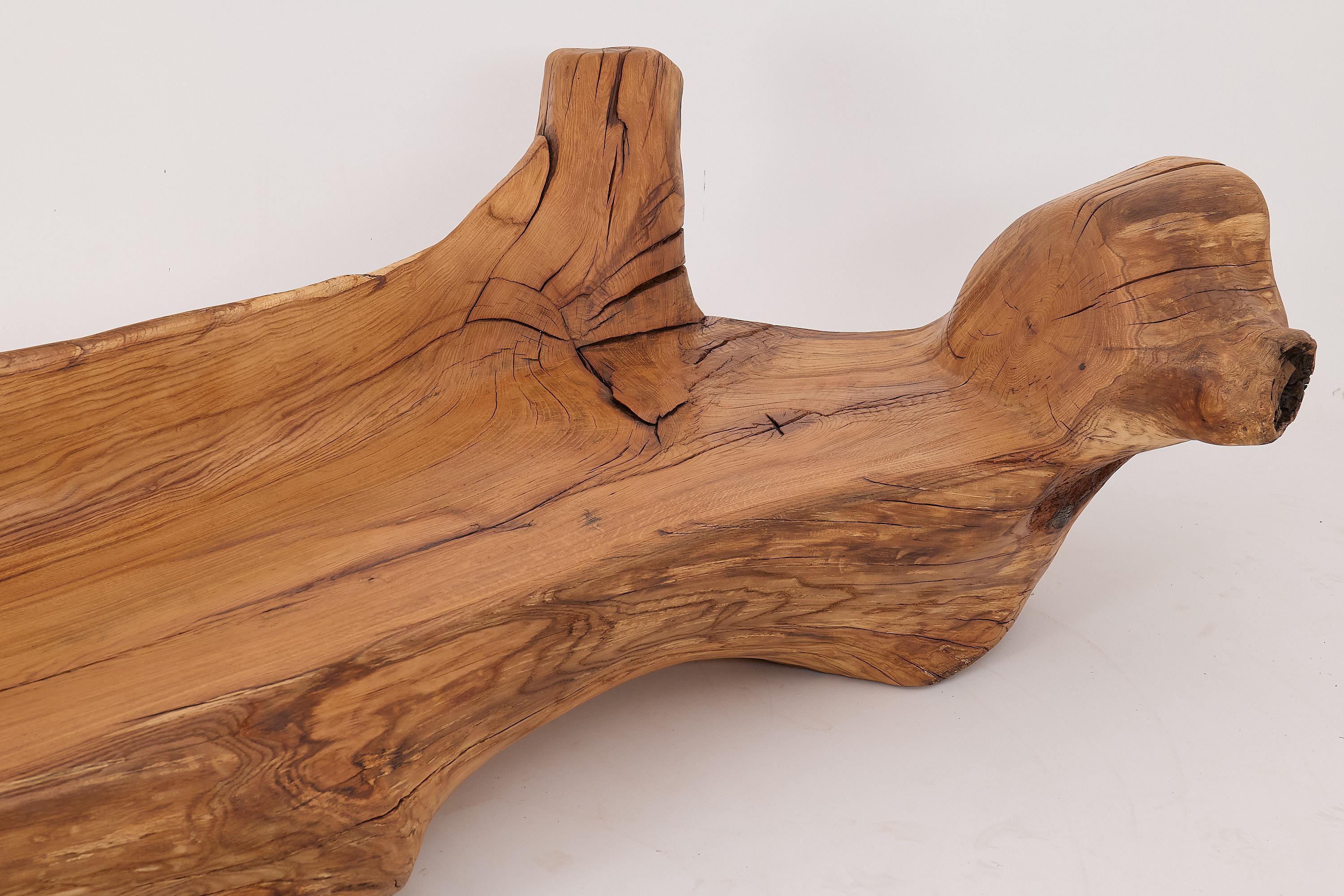 Banco XXL de madera maciza tallada con forma orgánica en bruto para interior y exterior, muebles de madera en venta 11