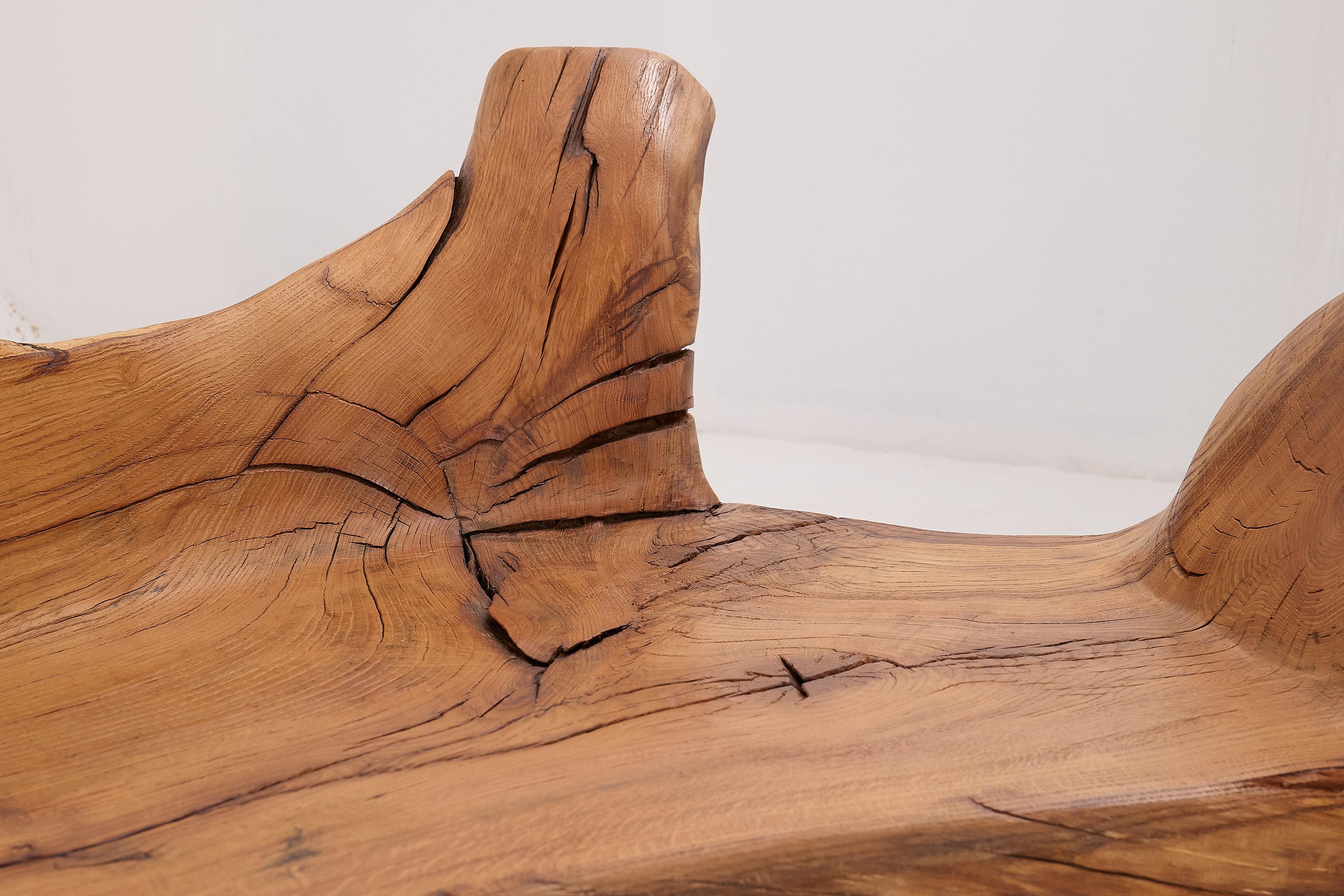 Banco XXL de madera maciza tallada con forma orgánica en bruto para interior y exterior, muebles de madera en venta 12