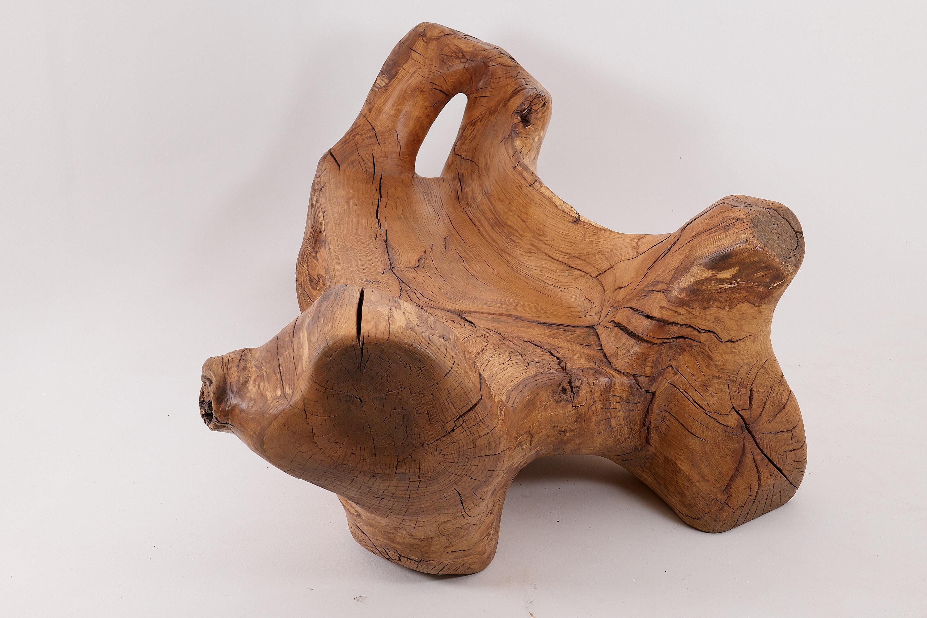 Banco XXL de madera maciza tallada con forma orgánica en bruto para interior y exterior, muebles de madera en Nuevo estado para la venta en Stara Gradiška, HR