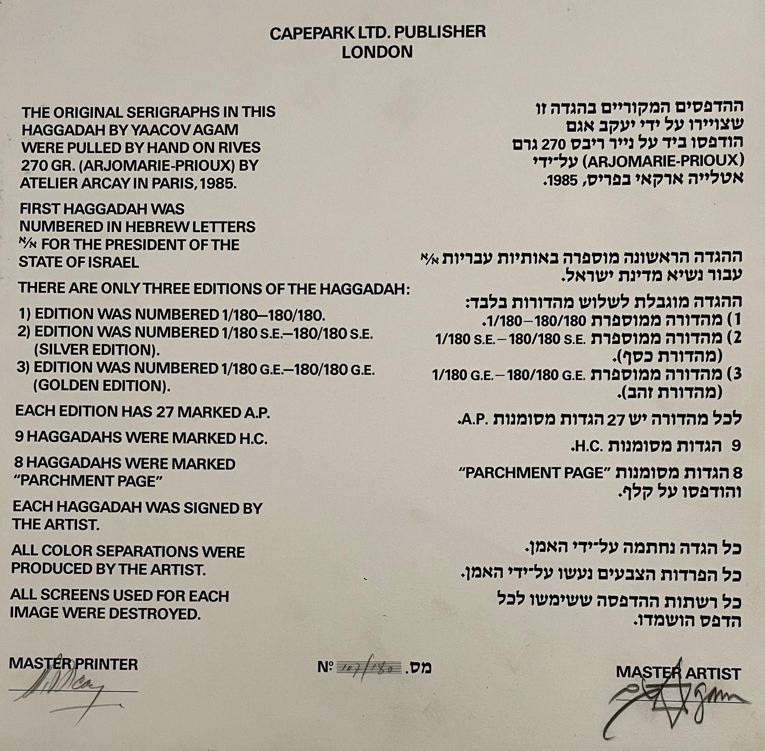 Sérigraphie judaïque en soie d'agam, signée à la main, Israëli Kinetic Op Art Print en vente 6