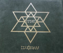 Vintage The Agam Passover Haggadah - Gold Edition