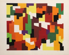 Urban Camo, Abstract Geometric Screenprint by Yaacov Agam