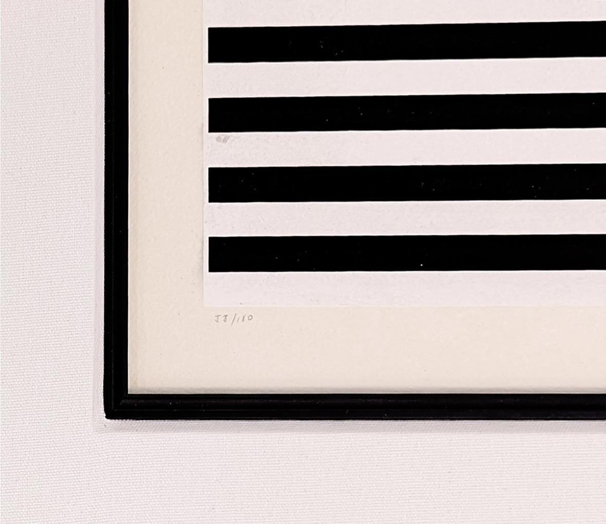 V (de la série Double Metamorphosis), grande sérigraphie abstraite - Print de Yaacov Agam