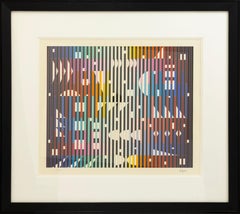 Yaacov Agam Sparkling Night Rainbow 1981 Signed Op Art Serigraph 170/180 Framed