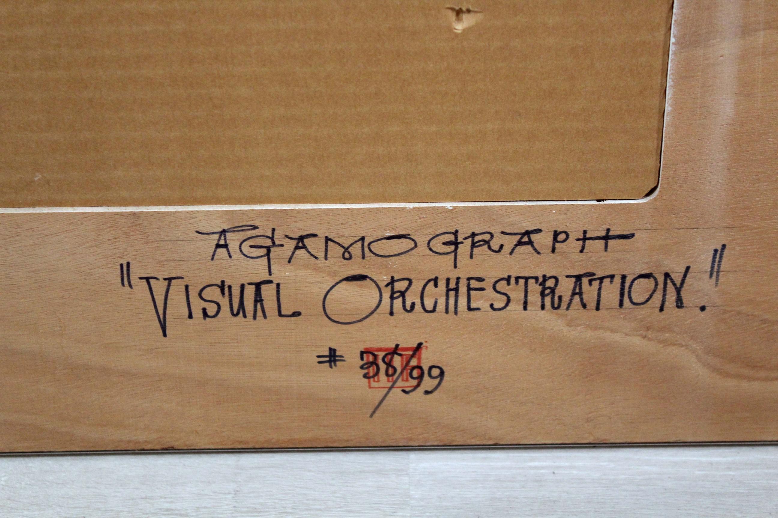 Yaacov Agam Visual Orchestration Signed Agamograph 38/99 Kinetic Art Framed 8