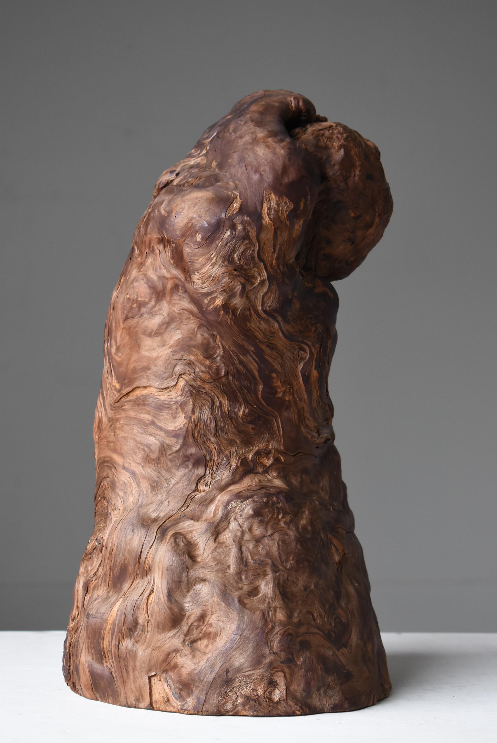 Yakusugi Cedar Sculpture Japanese Antique / Object Wabi Sabi 5