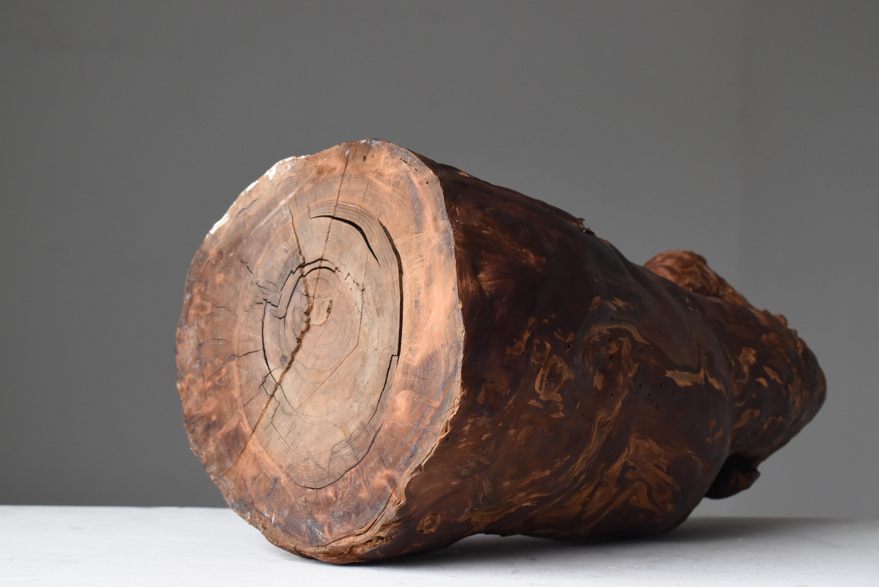 Yakusugi Cedar Sculpture Japanese Antique / Object Wabi Sabi 7