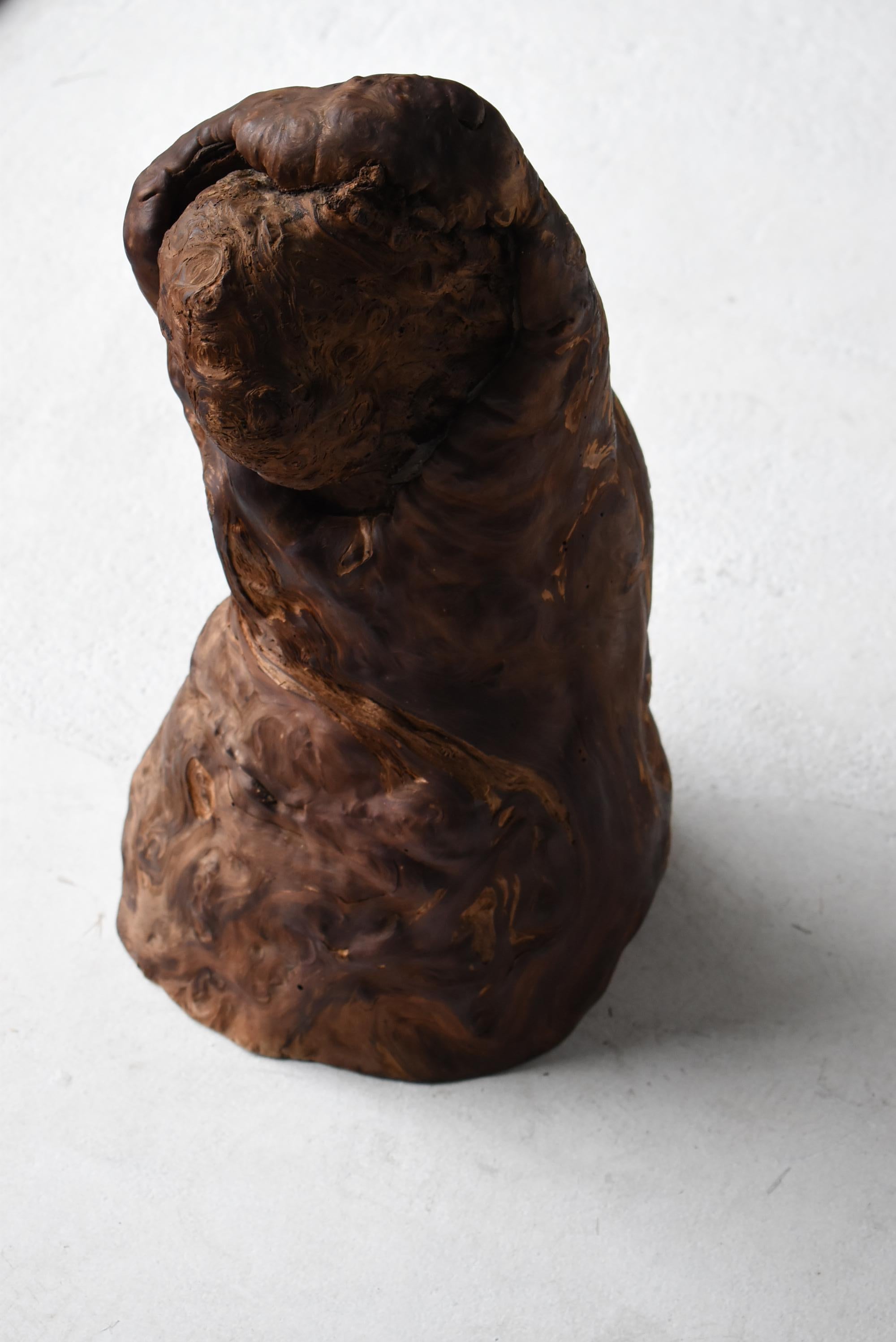 Yakusugi Cedar Sculpture Japanese Antique / Object Wabi Sabi 8