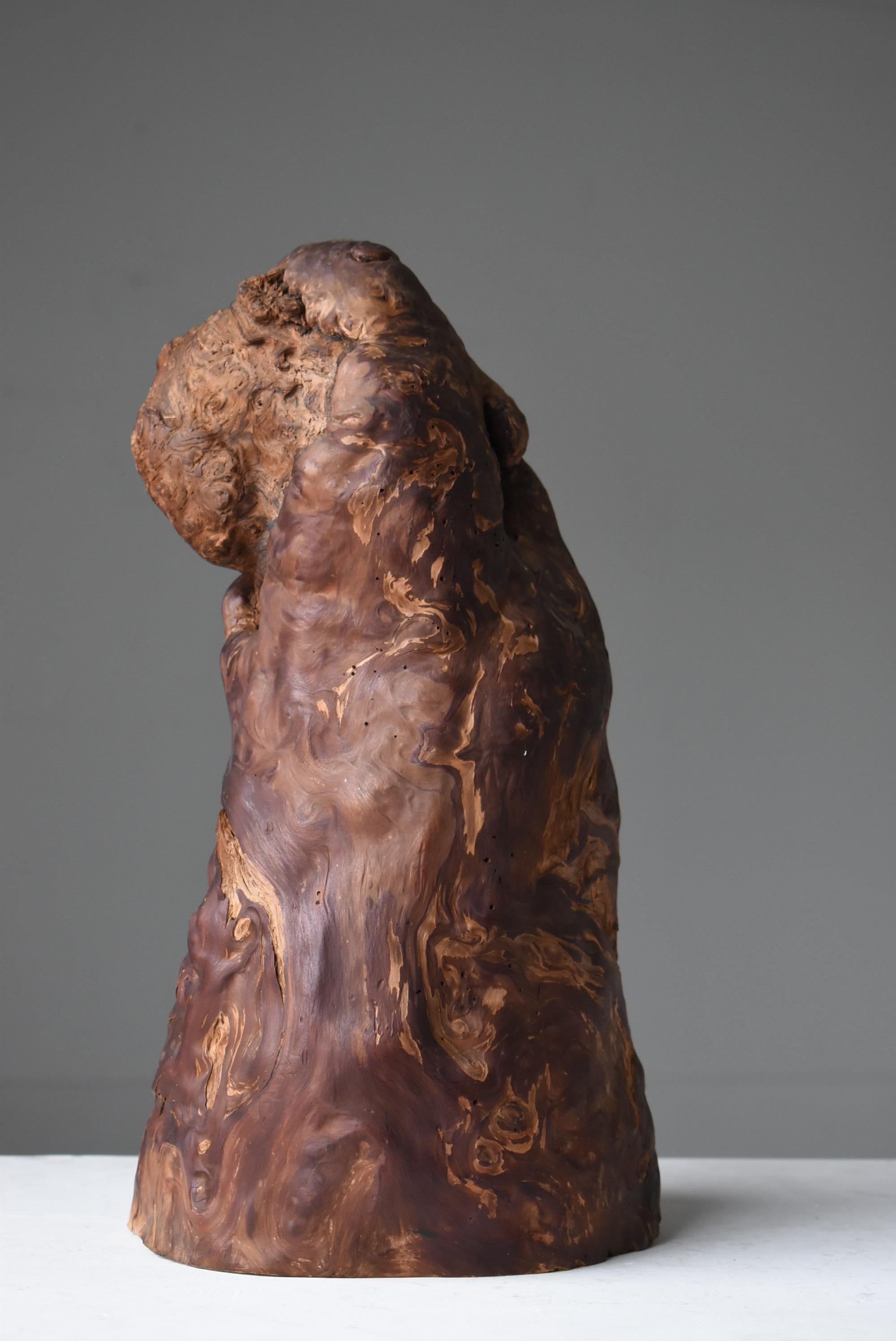 Yakusugi Cedar Sculpture Japanese Antique / Object Wabi Sabi 1