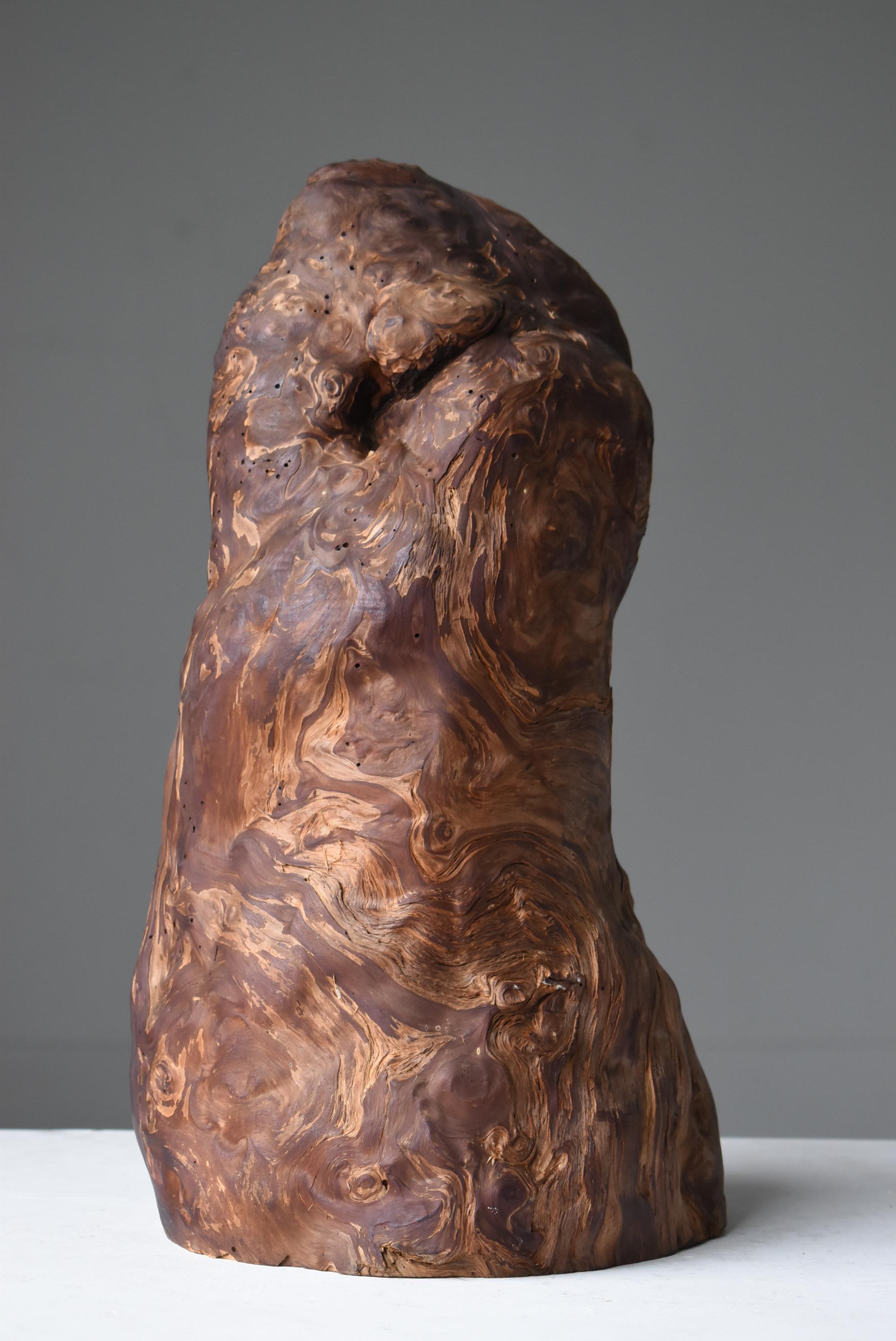 Yakusugi Cedar Sculpture Japanese Antique / Object Wabi Sabi 3