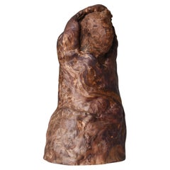Yakusugi Cedar Sculpture Japanese Antique / Object Wabi Sabi