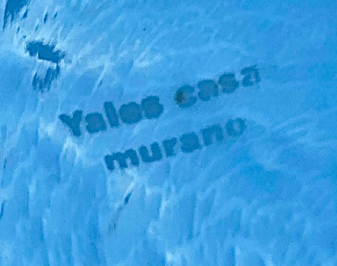 Yalos Casa Murano Blown Glass Bowl Centerpiece For Sale 3
