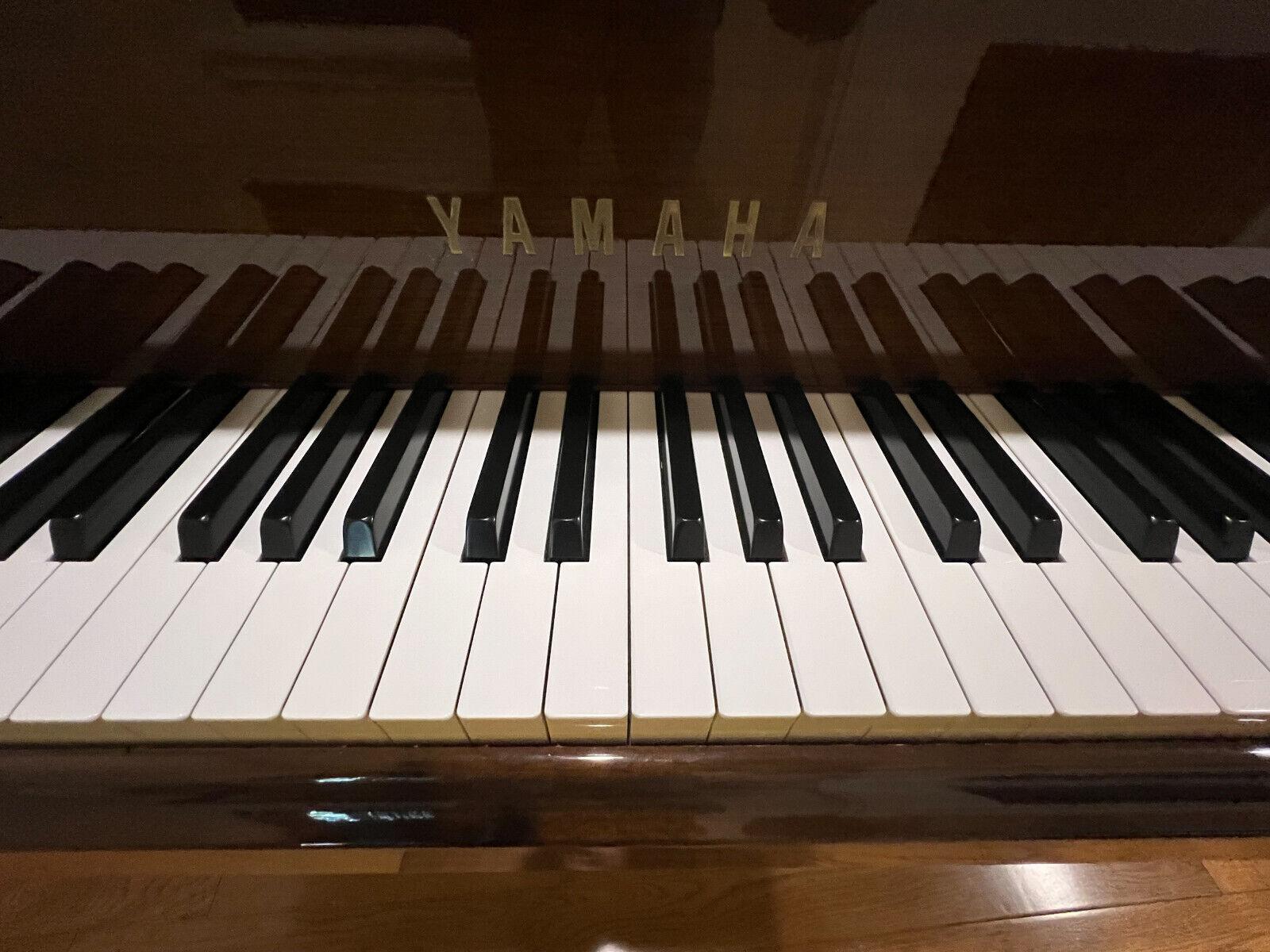 Yamaha Baby Grand G1 Piano, 5' 3