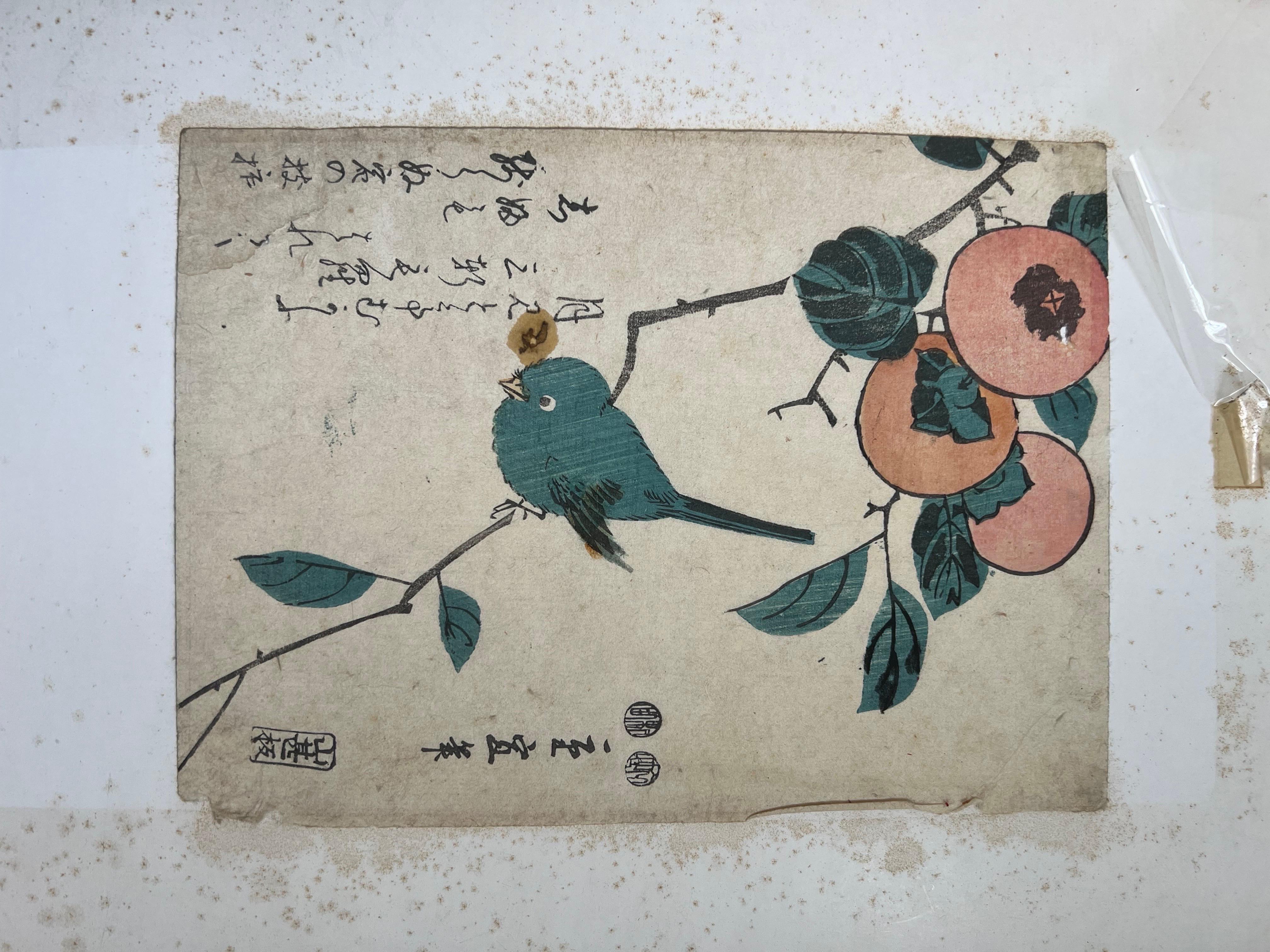 Yanagawa Shigenobu 1787-1832 Blue Bird  1