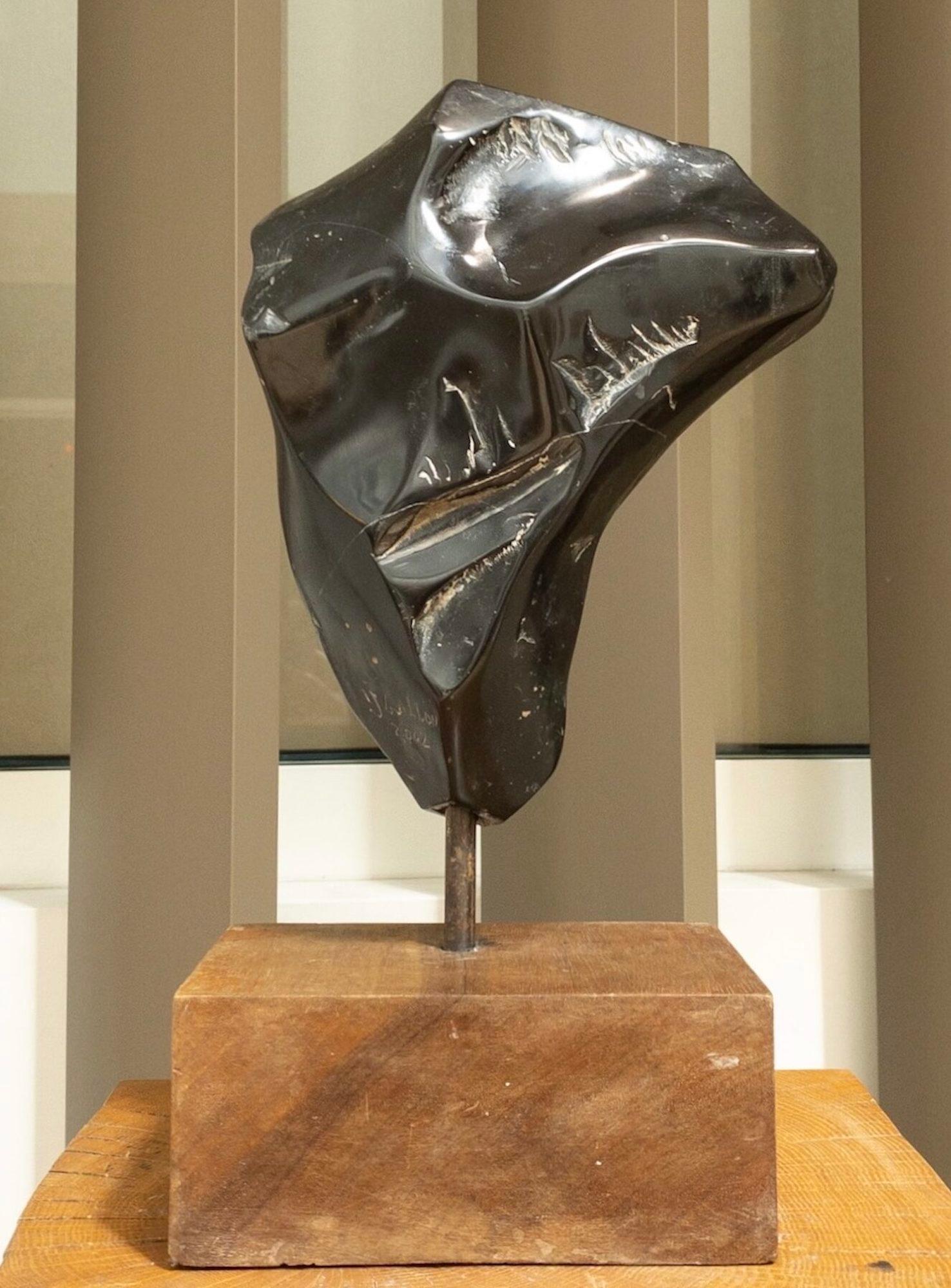 Black Torso by Yann Guillon - Contemporary Marble Sculpture For Sale 1