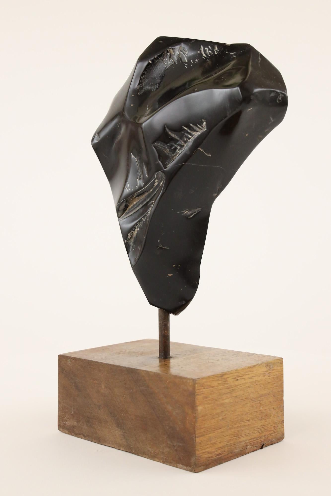 Black Torso by Yann Guillon - Contemporary Marble Sculpture For Sale 6