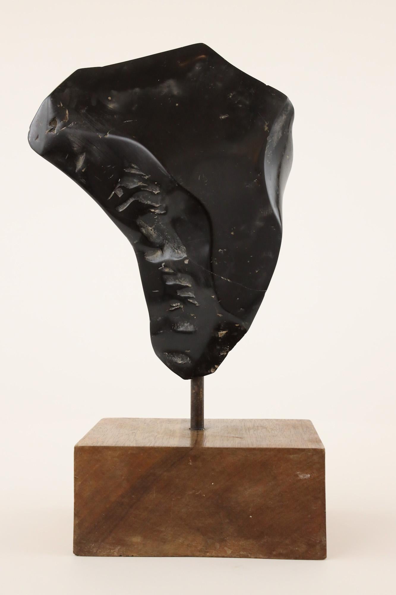Torso nero di Yann Guillon - Scultura contemporanea in marmo in vendita 8
