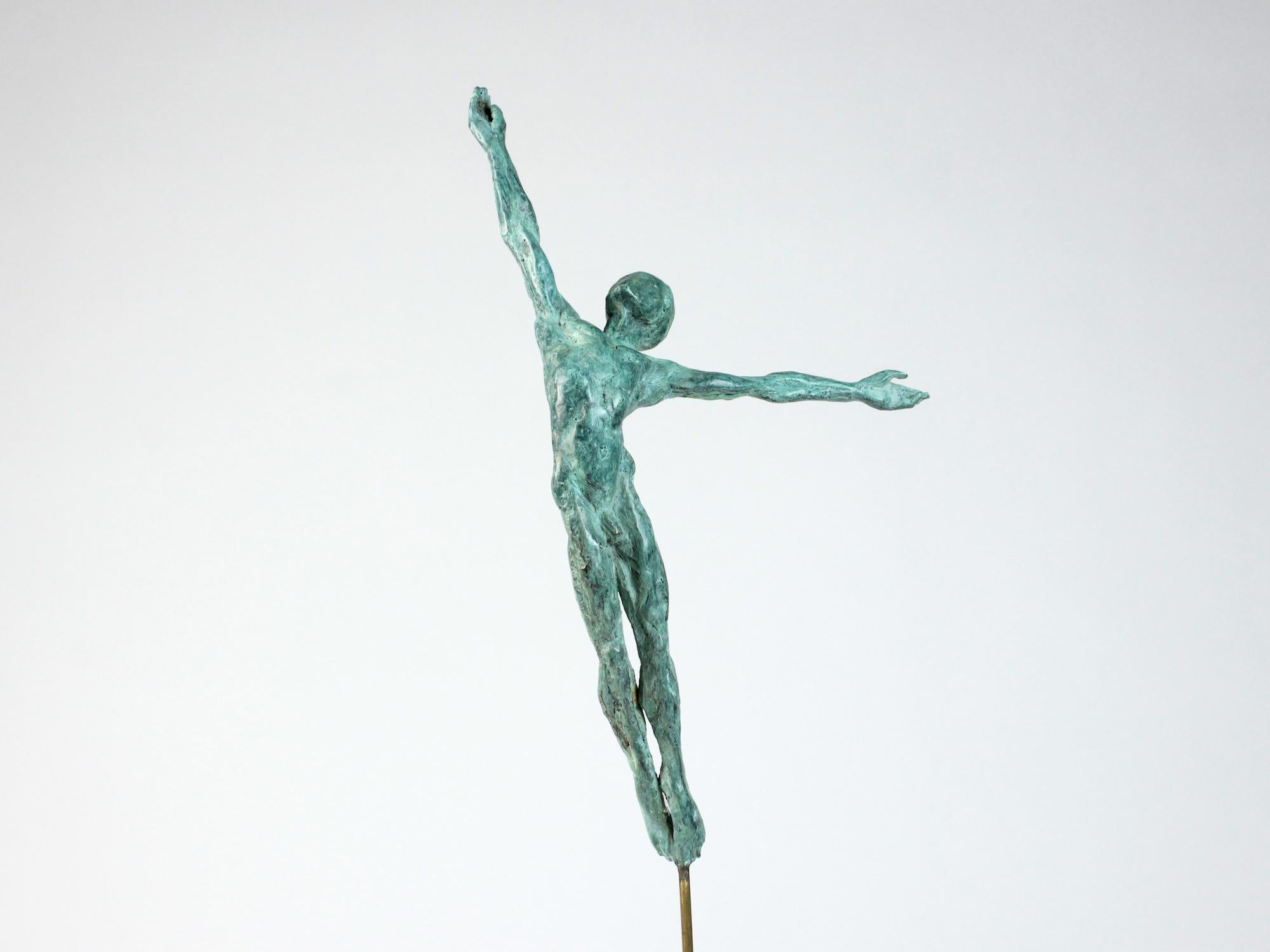 Danseur Attirance II is a bronze sculpture by contemporary artist Yann Guillon, dimensions are 35 × 23 × 9 cm (13.8 × 9.1 × 3.5 in). Height of the sculpture with the metal base: 51 cm (20 in). 
The sculpture is signed and numbered, it is part of a