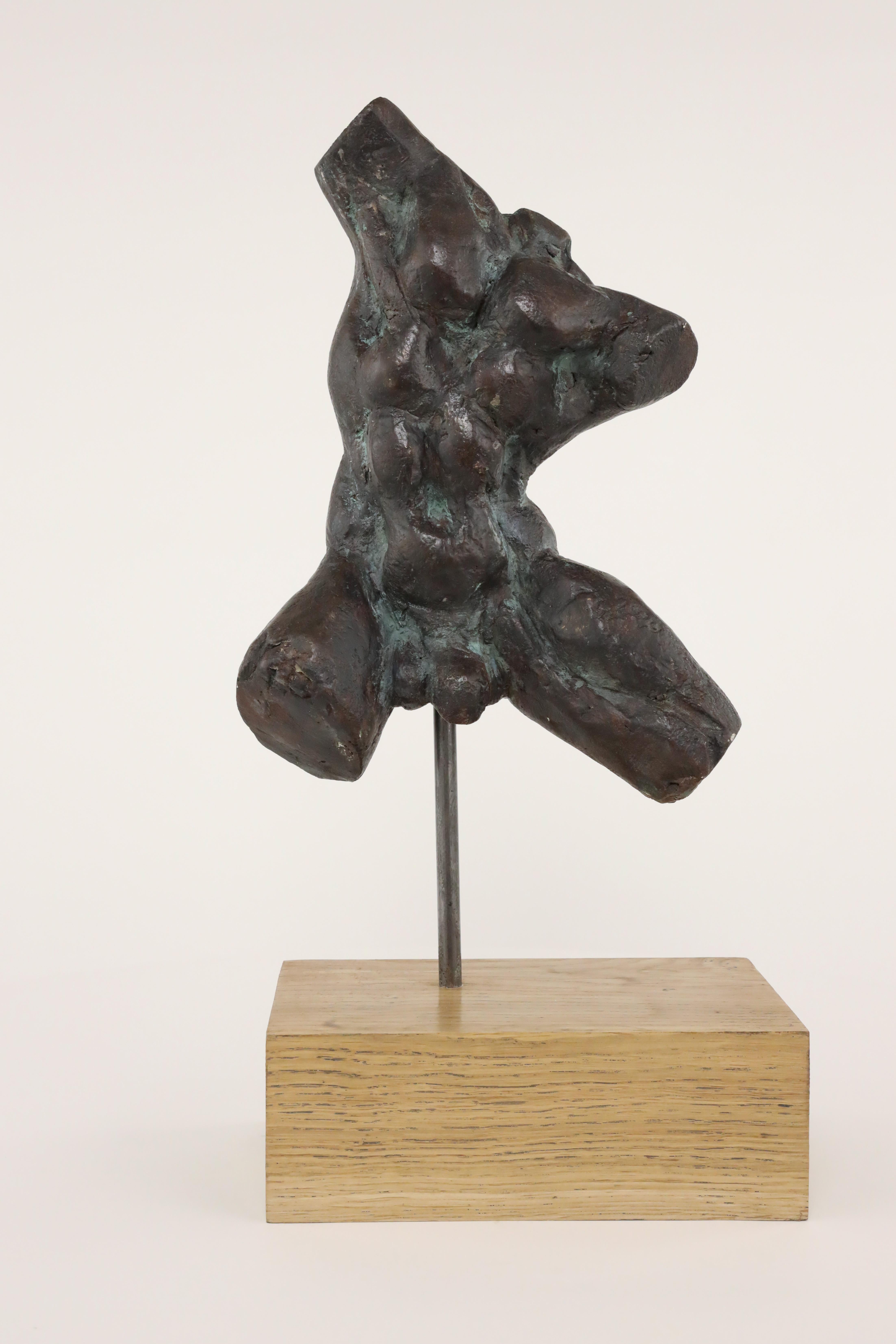 Torse expressionniste I de Yann Guillon - Sculpture de bronze nu, torse d'homme