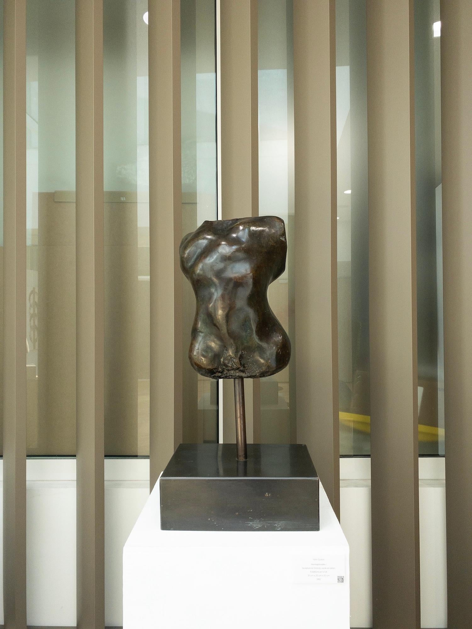 Hermaphrodite I by Yann Guillon - Bronze sculpture, nude torso For Sale 7