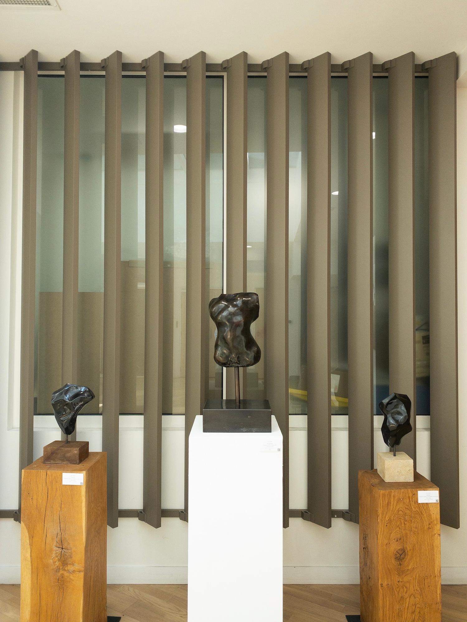 Hermaphrodite I de Yann Guillon - Sculpture en bronze, torse nu en vente 7