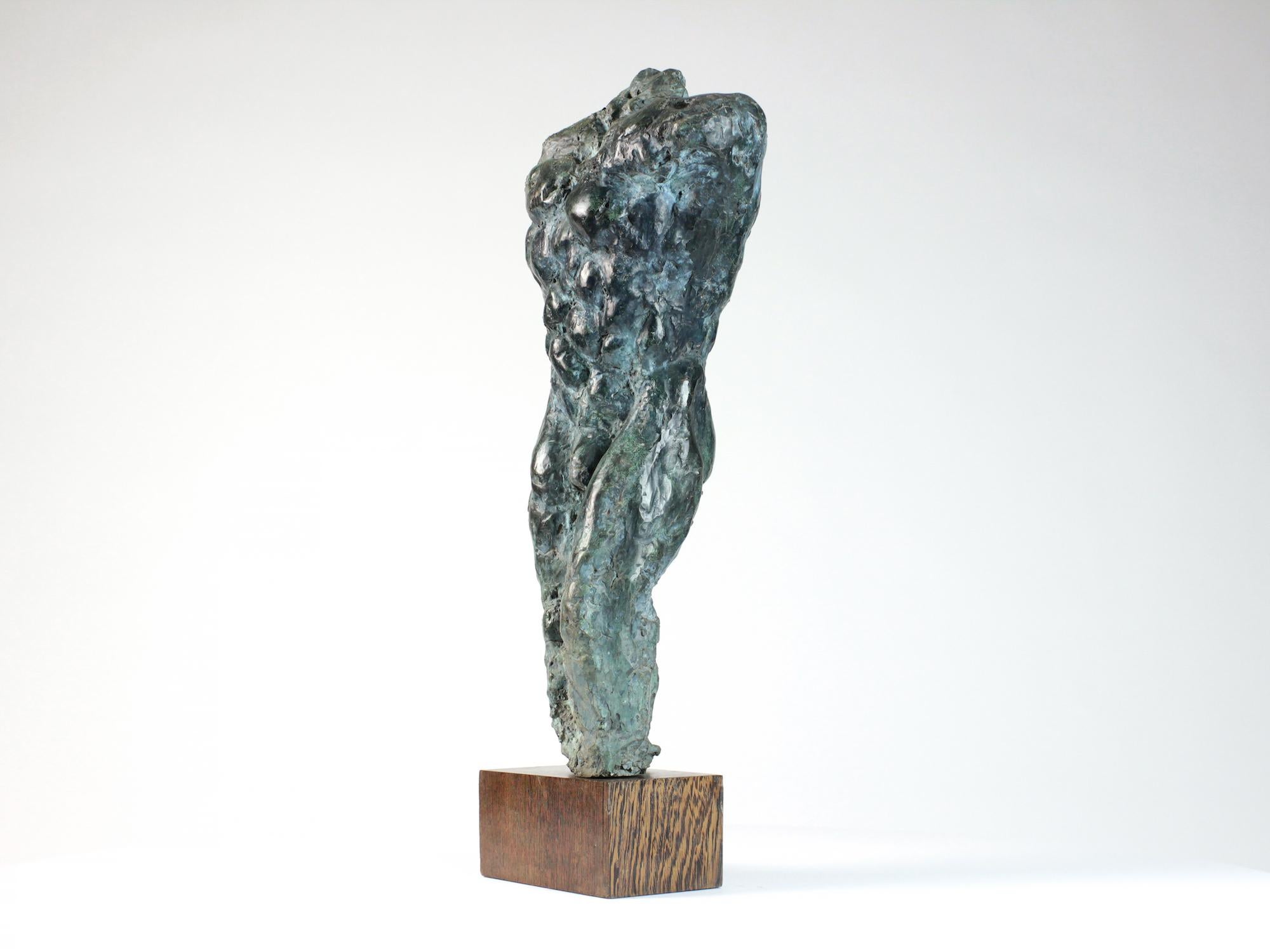 Lancelot II by Yann Guillon - Male nude bronze sculpture, torso, figurative For Sale 2