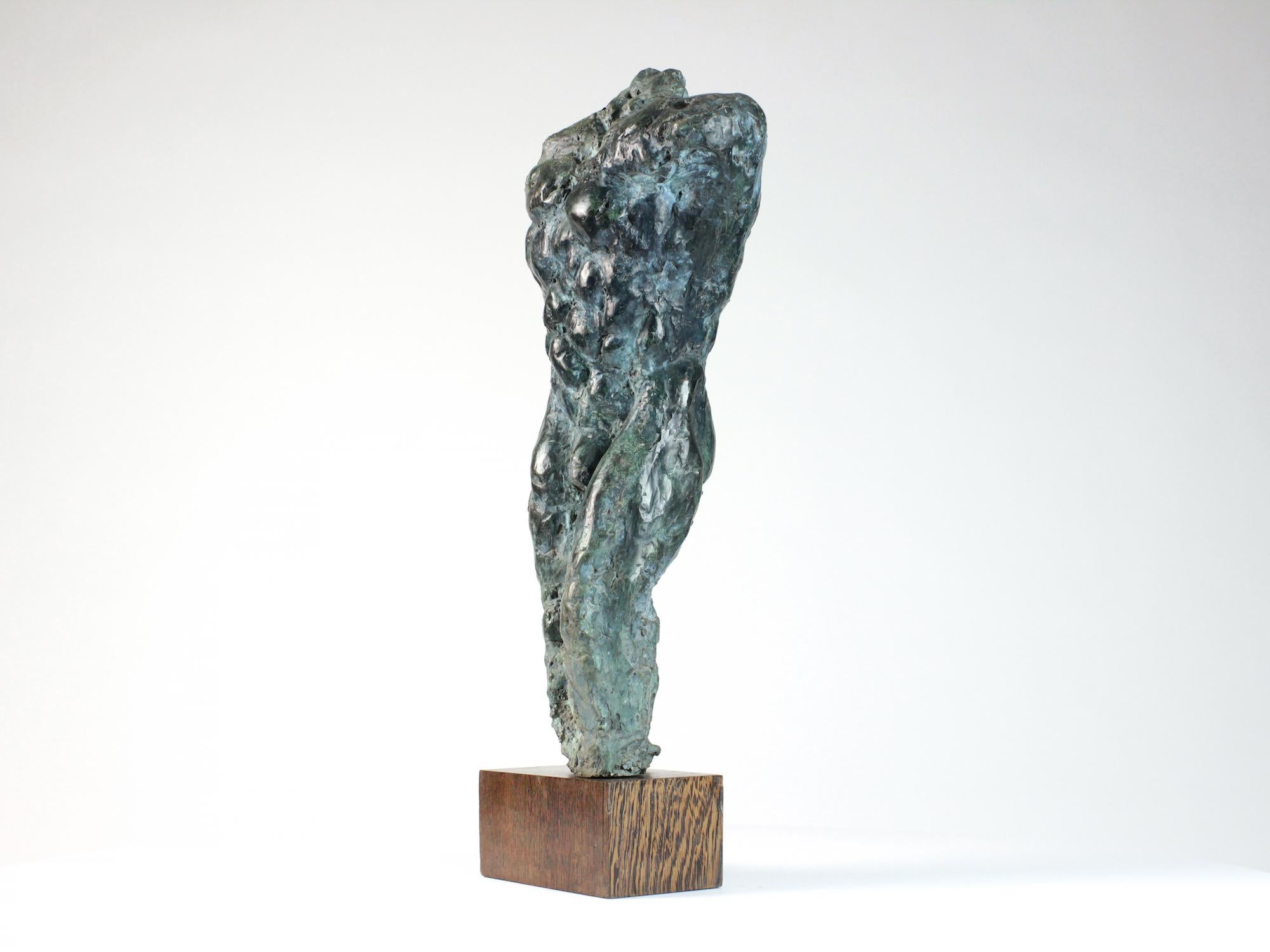 Lancelot II par Yann Guillon - Sculpture masculine en bronze, torse nu, figurative en vente 2