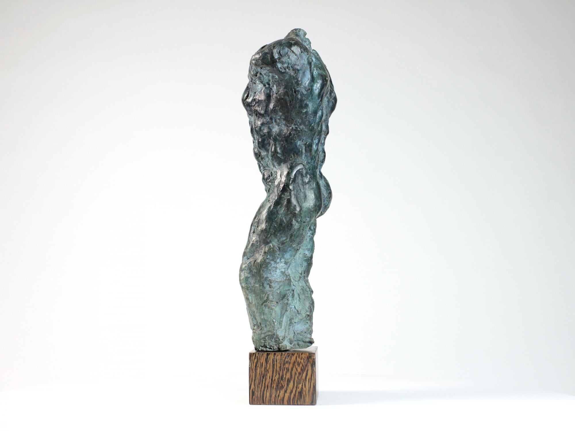 Lancelot II par Yann Guillon - Sculpture masculine en bronze, torse nu, figurative en vente 3