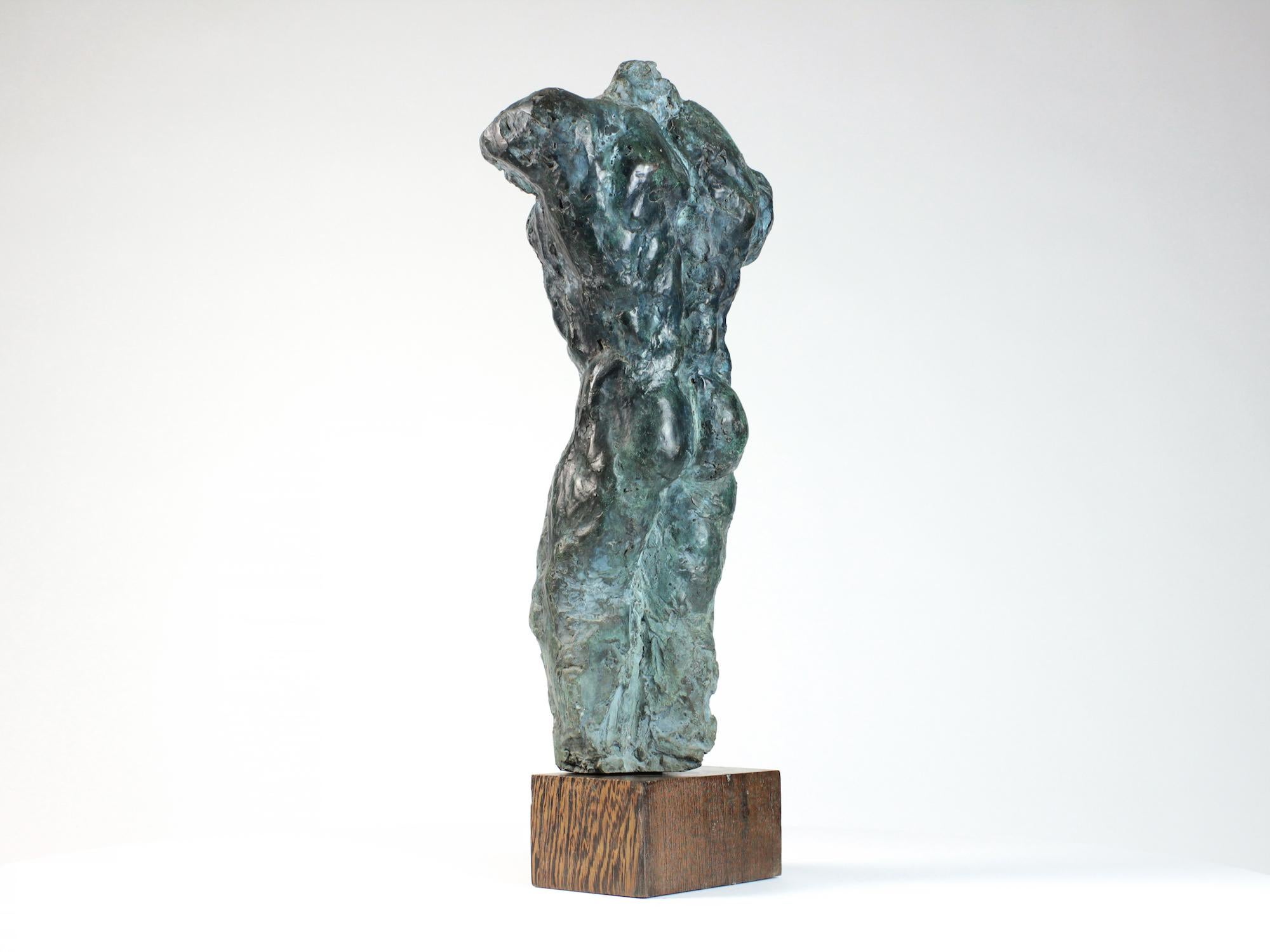 Lancelot II by Yann Guillon - Male nude bronze sculpture, torso, figurative For Sale 4