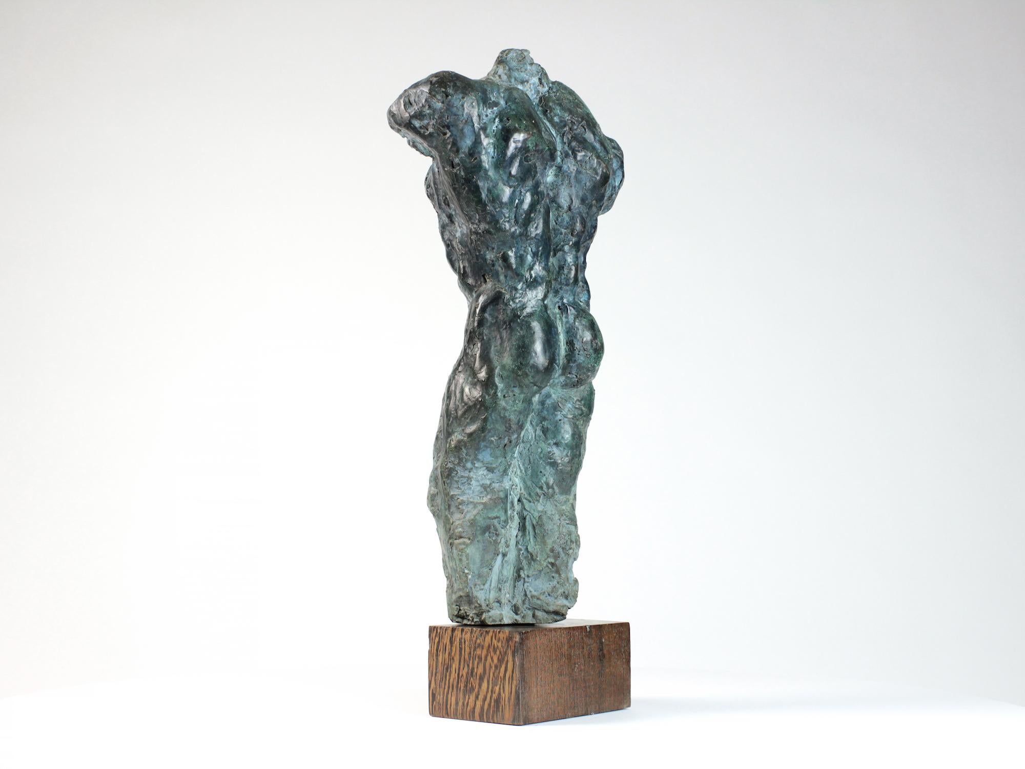 Lancelot II par Yann Guillon - Sculpture masculine en bronze, torse nu, figurative en vente 4