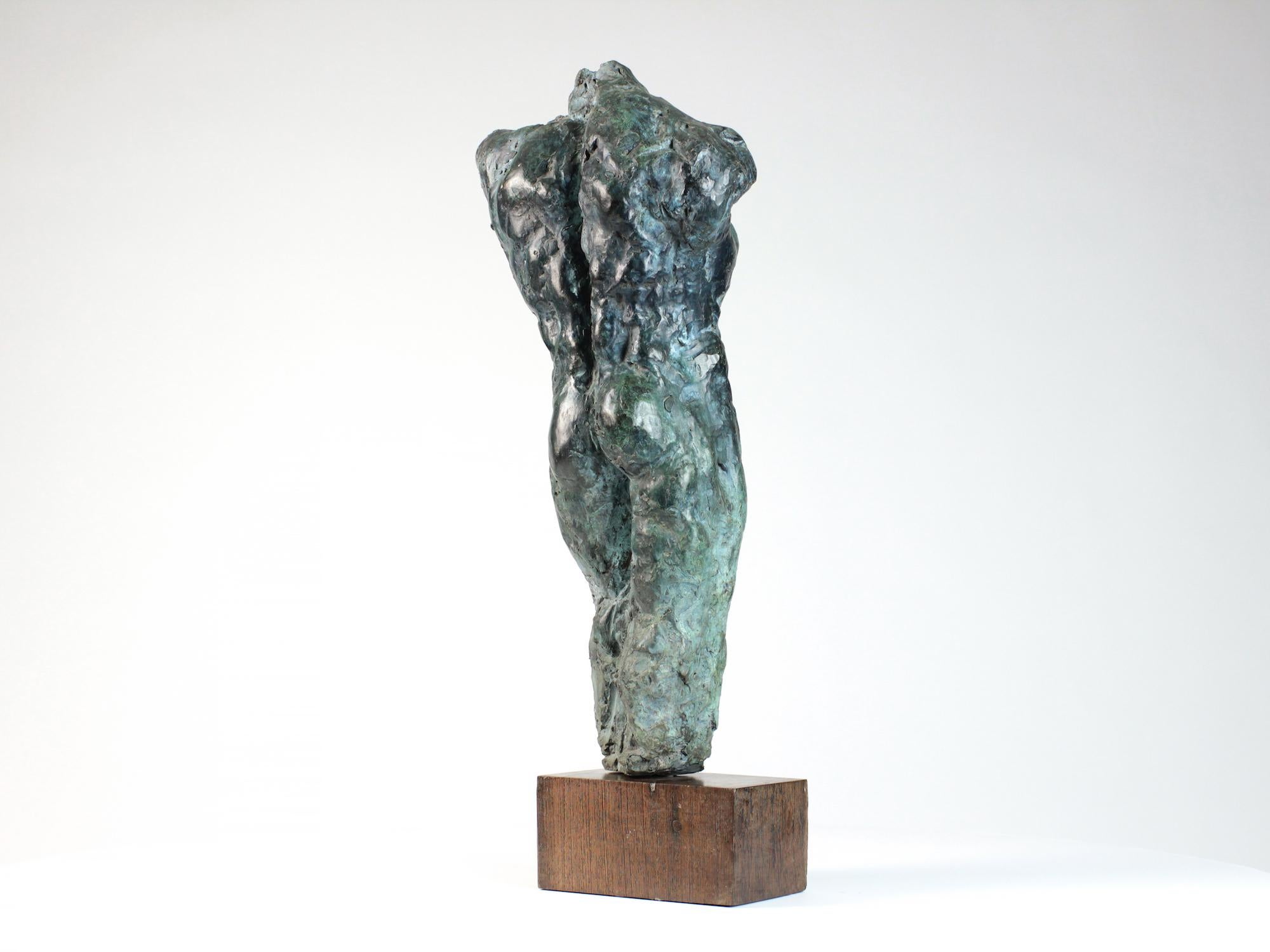 Lancelot II by Yann Guillon - Male nude bronze sculpture, torso, figurative For Sale 6
