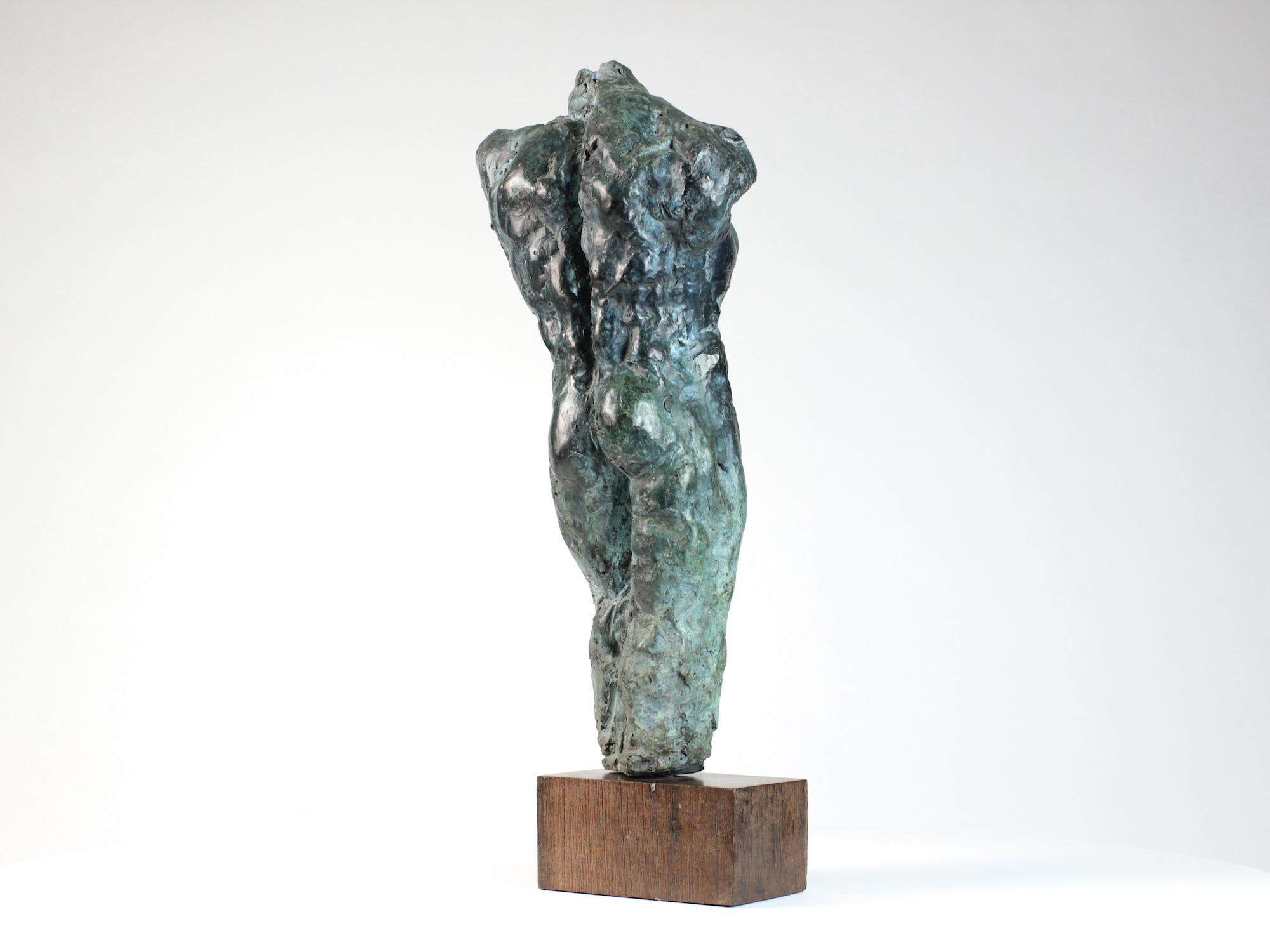 Lancelot II par Yann Guillon - Sculpture masculine en bronze, torse nu, figurative en vente 6