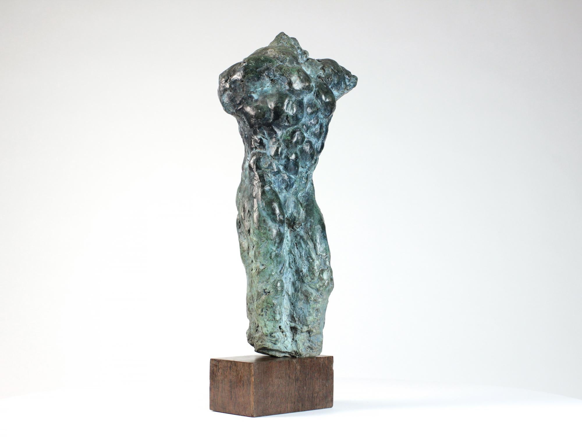 Lancelot II is a bronze sculpture by contemporary artist Yann Guillon, dimensions are 50 × 25 × 17 cm (19.7 × 9.8 × 6.7 in). Height of the sculpture with the base: 60 cm (23.6 in). 
The sculpture is signed and numbered, it is part of a limited