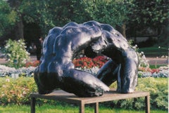 Wrestlers IV - Large-Scale outdoor bronze sculpture, Nude Male Wrestlers 