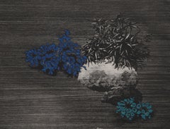 Oh Divin Yu, Modern Floral Aquatint Etching by Yannick Ballif
