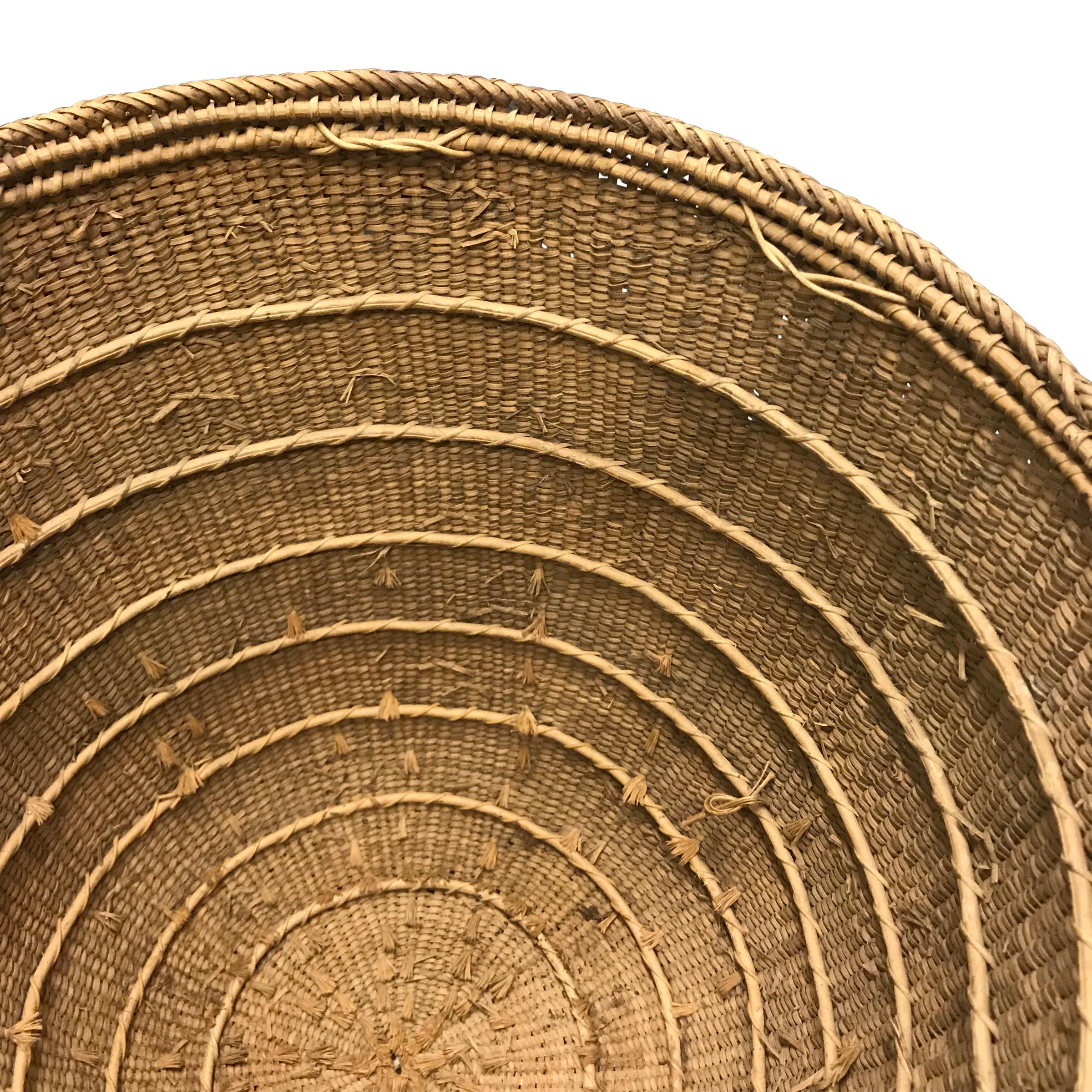 Brazilian Yanomami Gathering Basket