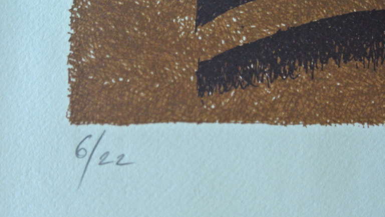 Serigrafía inspirada en los inuit, 