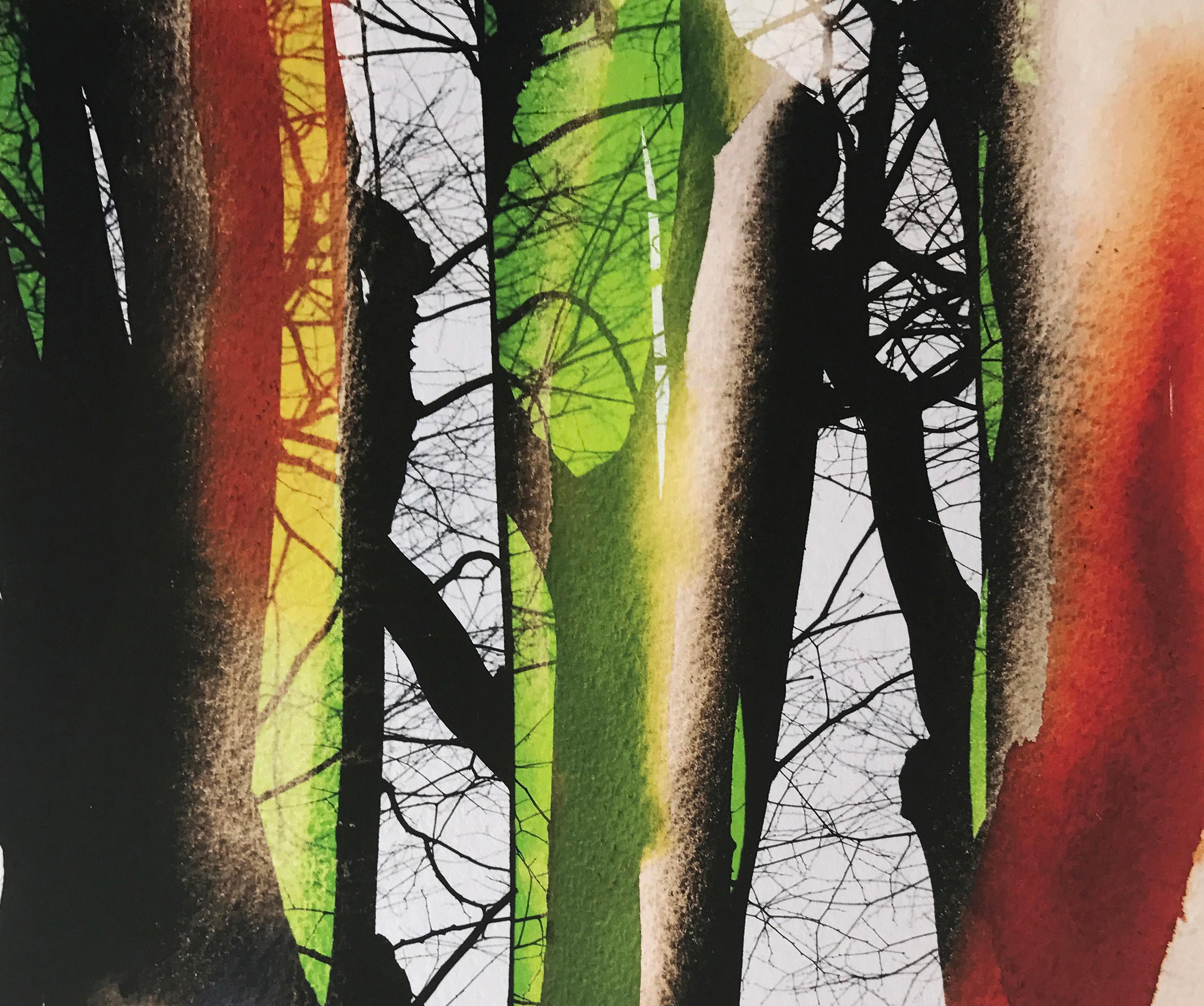 Asien, Joy of Color, Contemporary Color Japanese Photography, Limitierte Auflage (Schwarz), Color Photograph, von Yasuhiro Ishimoto