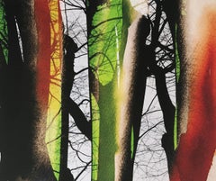 Asia, Joy of Color, Contemporary Color Japanese Photography, Limited Edition