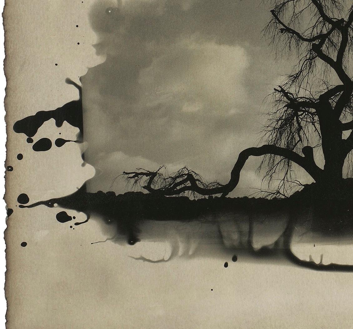 Twilight, Kyoto, Japon : photo de paysage d'arbre japonais, tradition Sumi-e - Photograph de Yasuomi Hashimura