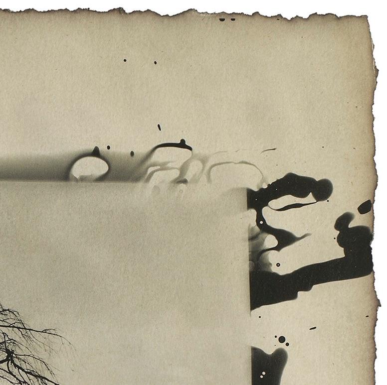 Twilight, Kyoto, Japon : photo de paysage d'arbre japonais, tradition Sumi-e - Marron Black and White Photograph par Yasuomi Hashimura