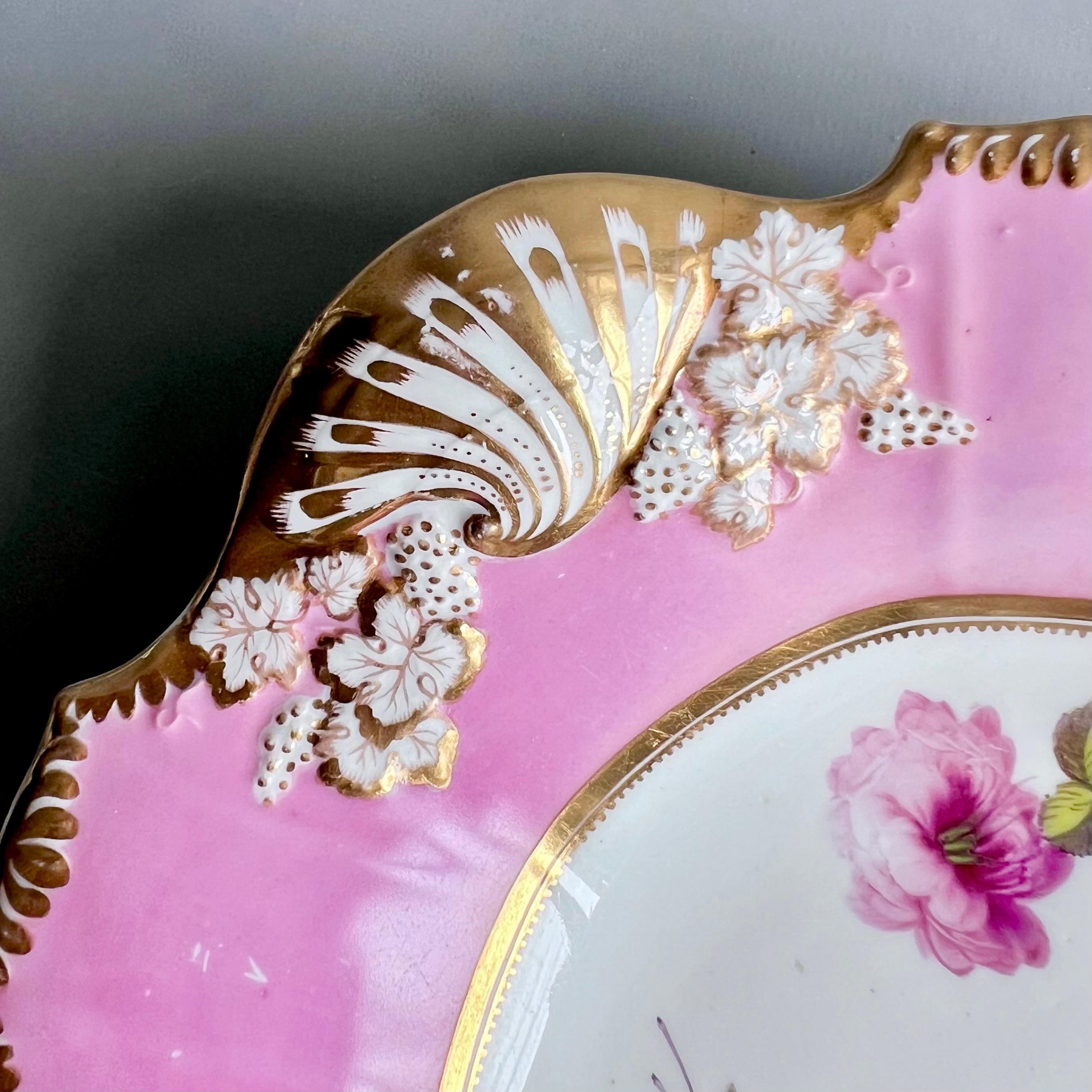 English Yates Pink Shell Dish, Patt. 1768 to Match H&R Daniel Patt. 4205, 1827