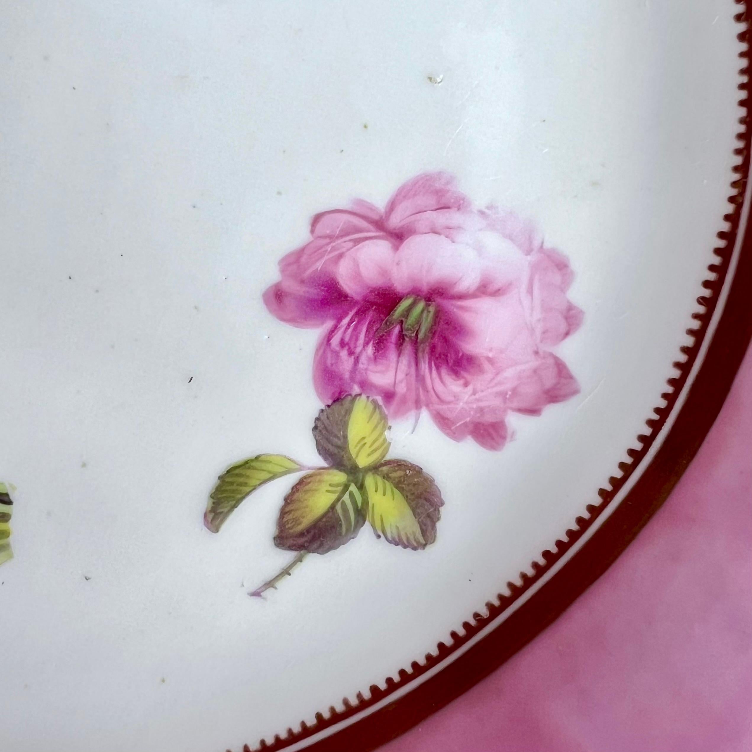 Early 19th Century Yates Pink Shell Dish, Patt. 1768 to Match H&R Daniel Patt. 4205, 1827